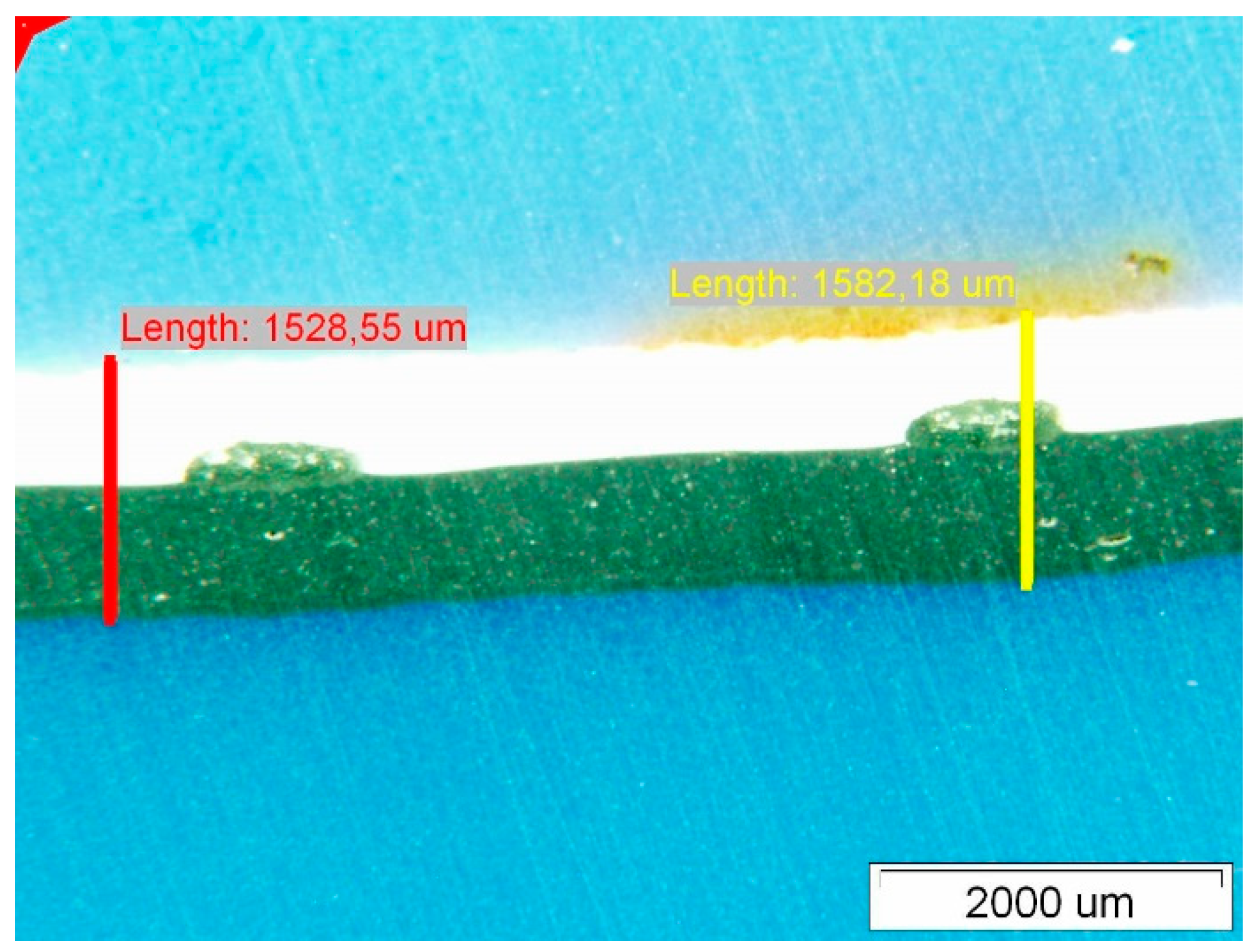 Polymers 14 01312 g008