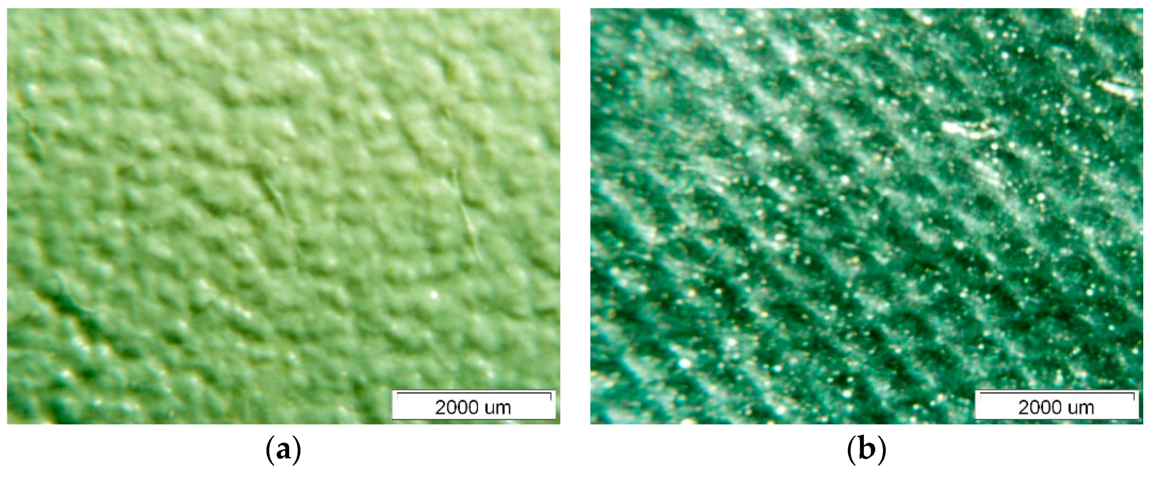 Polymers 14 01312 g009