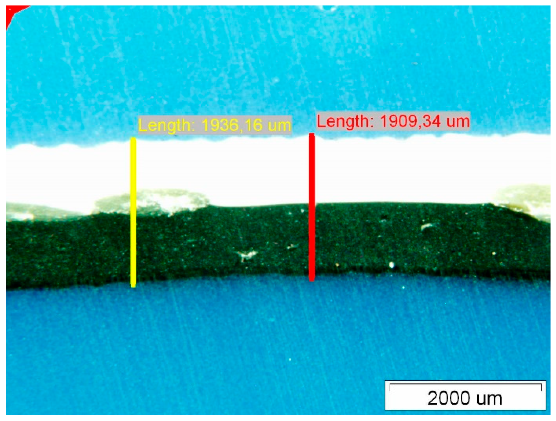 Polymers 14 01312 g010