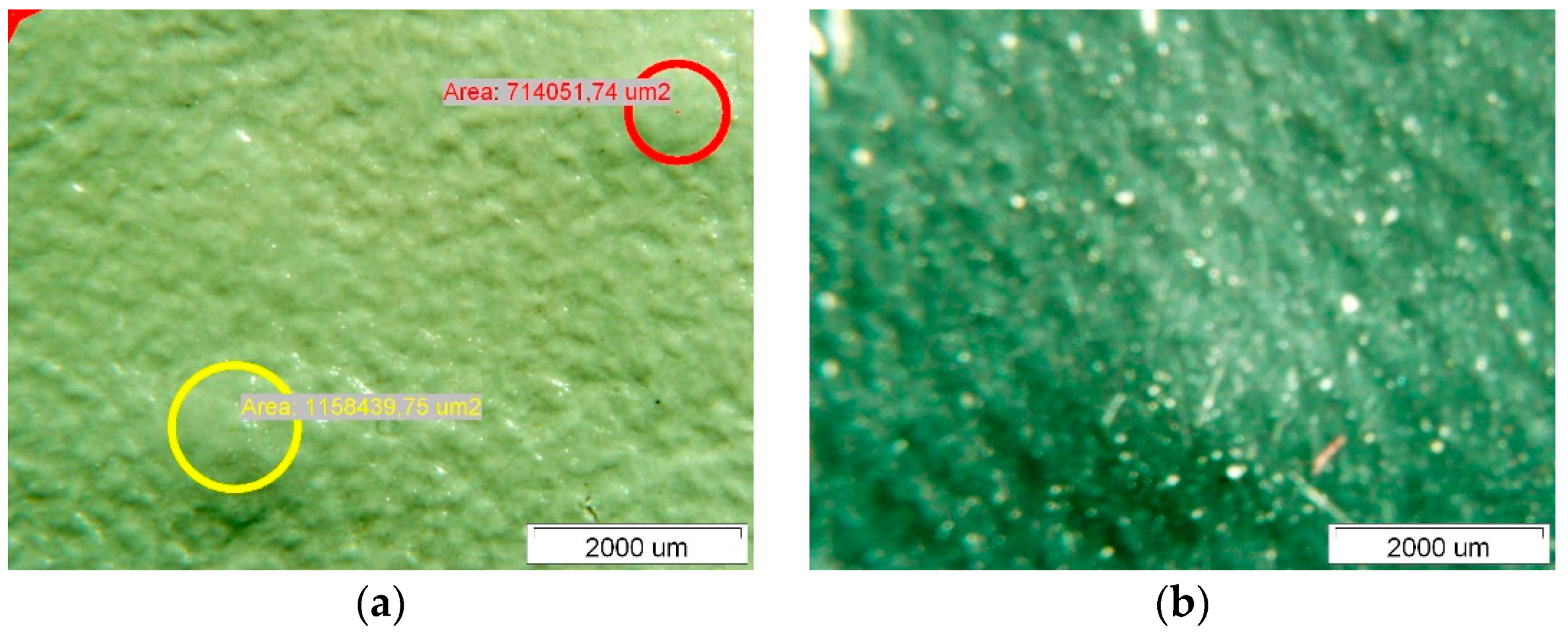 Polymers 14 01312 g011