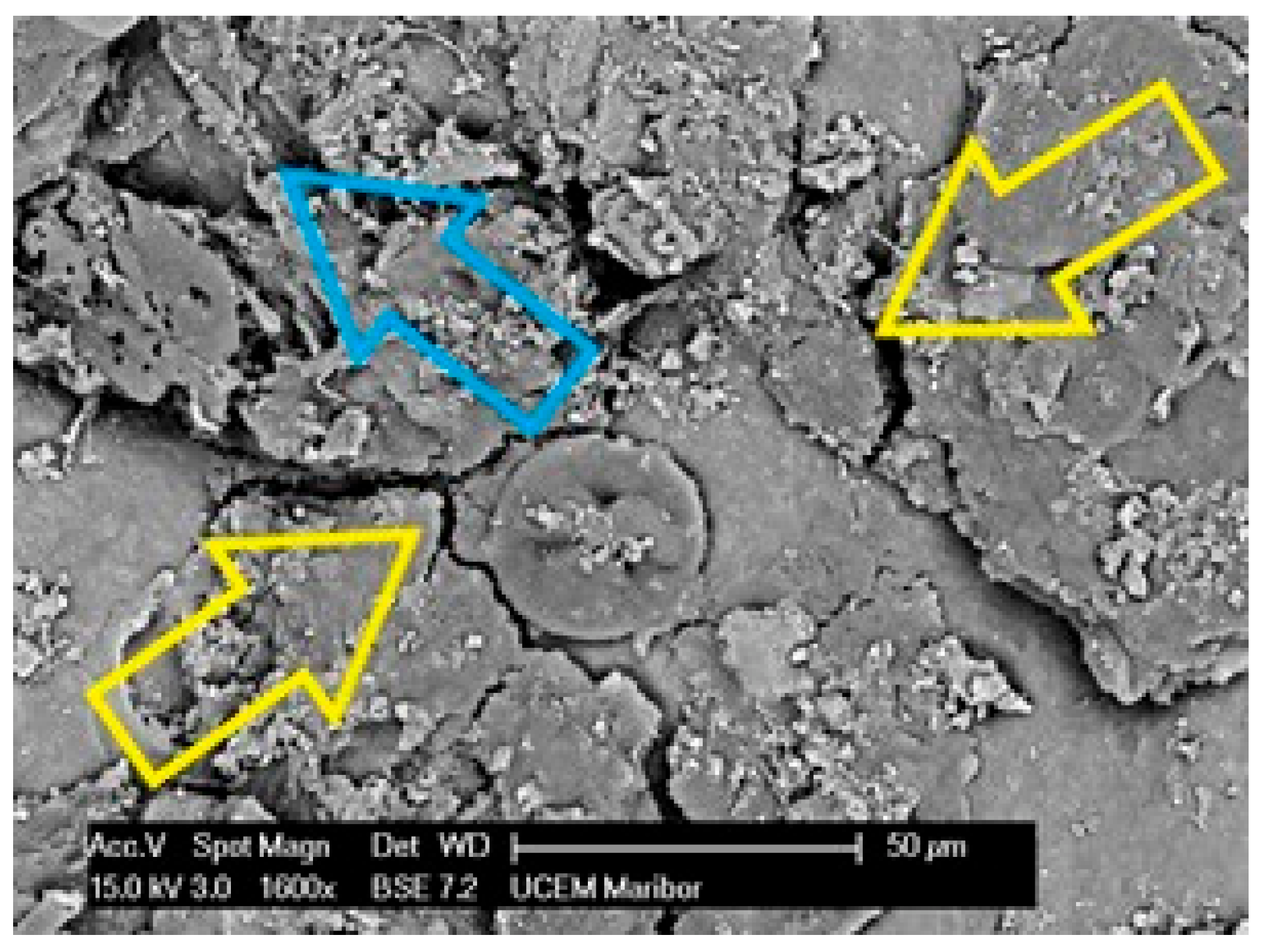 Polymers 14 01312 g013