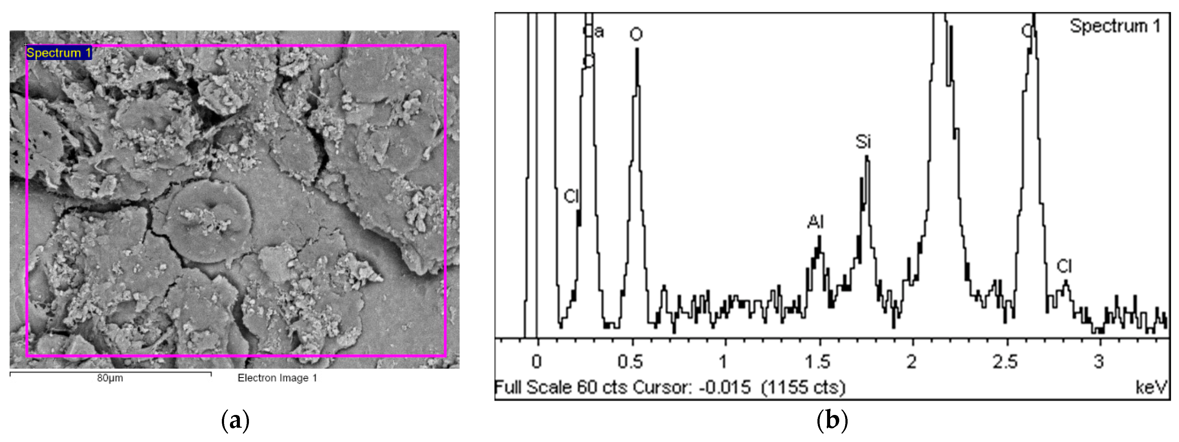 Polymers 14 01312 g014