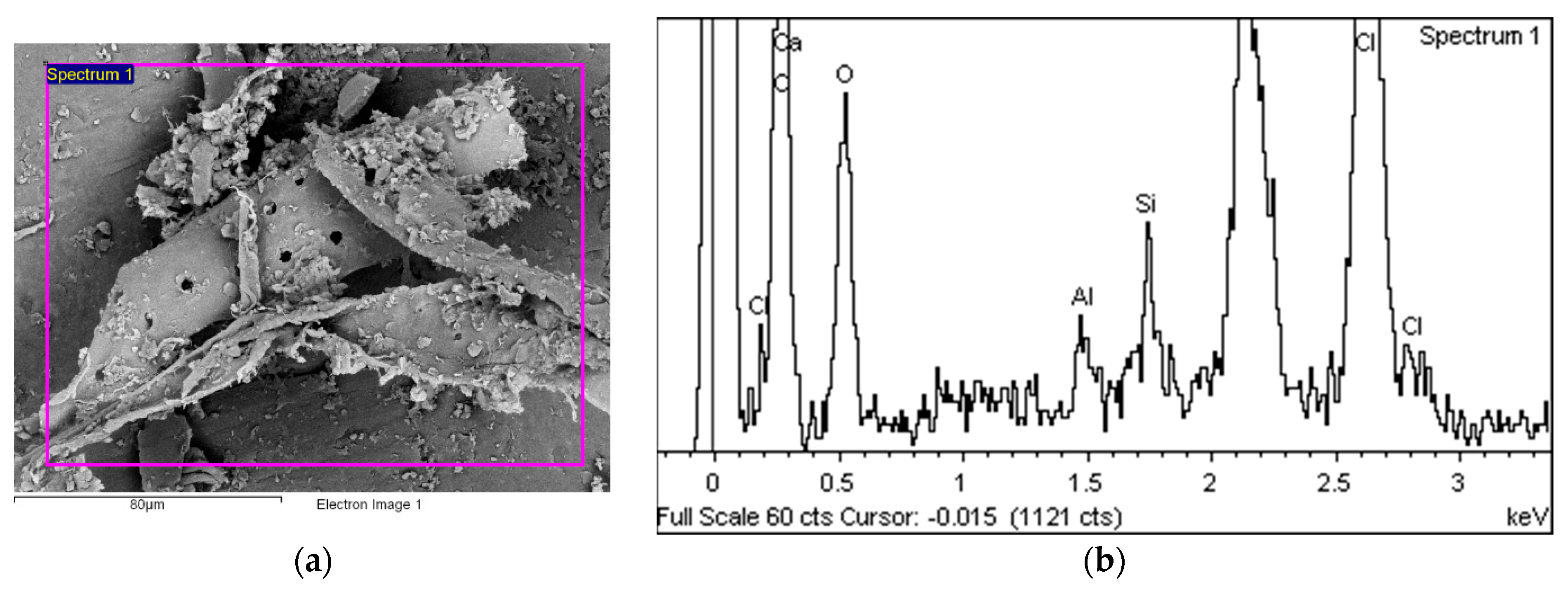 Polymers 14 01312 g015