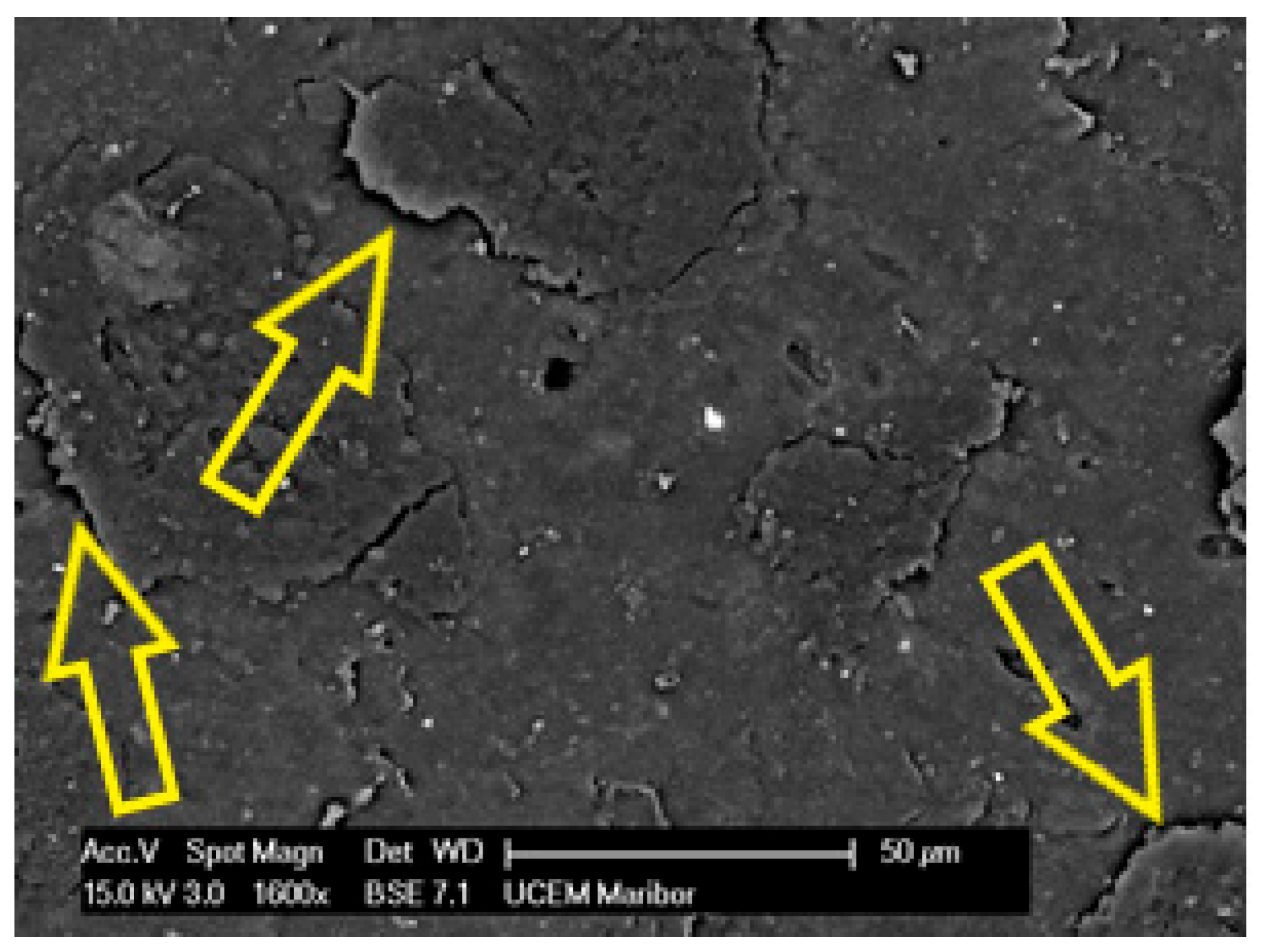 Polymers 14 01312 g017