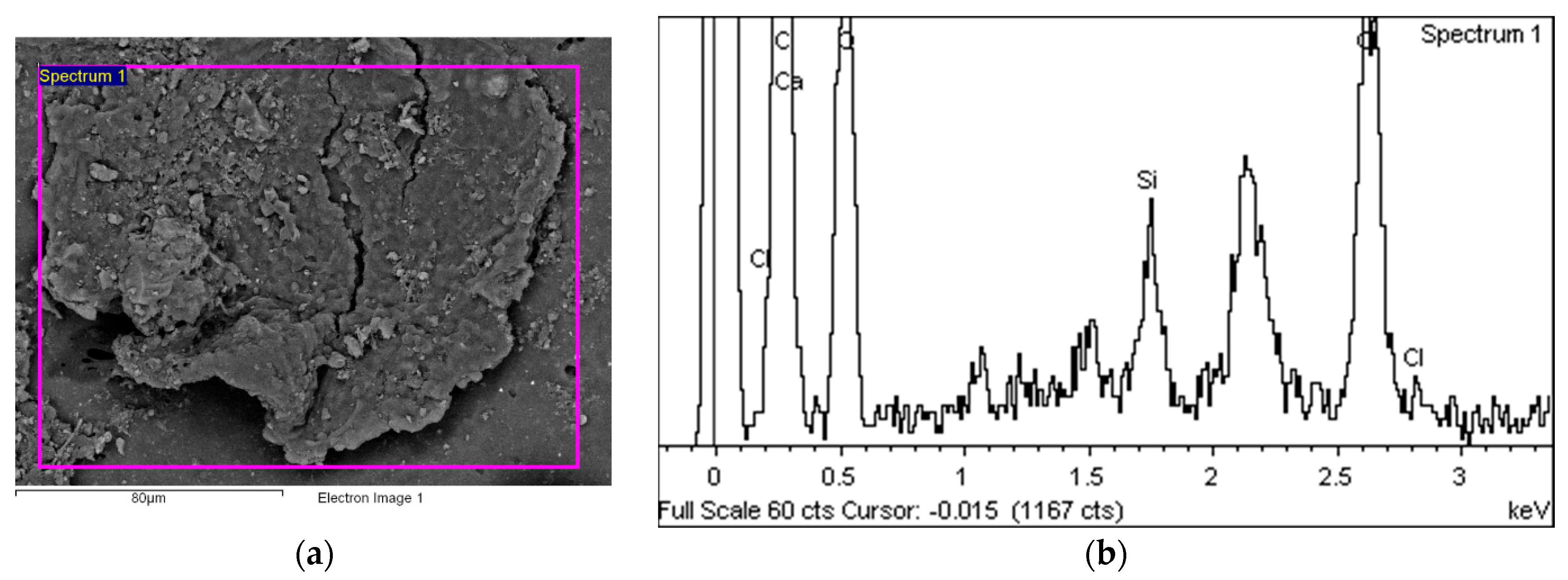Polymers 14 01312 g019