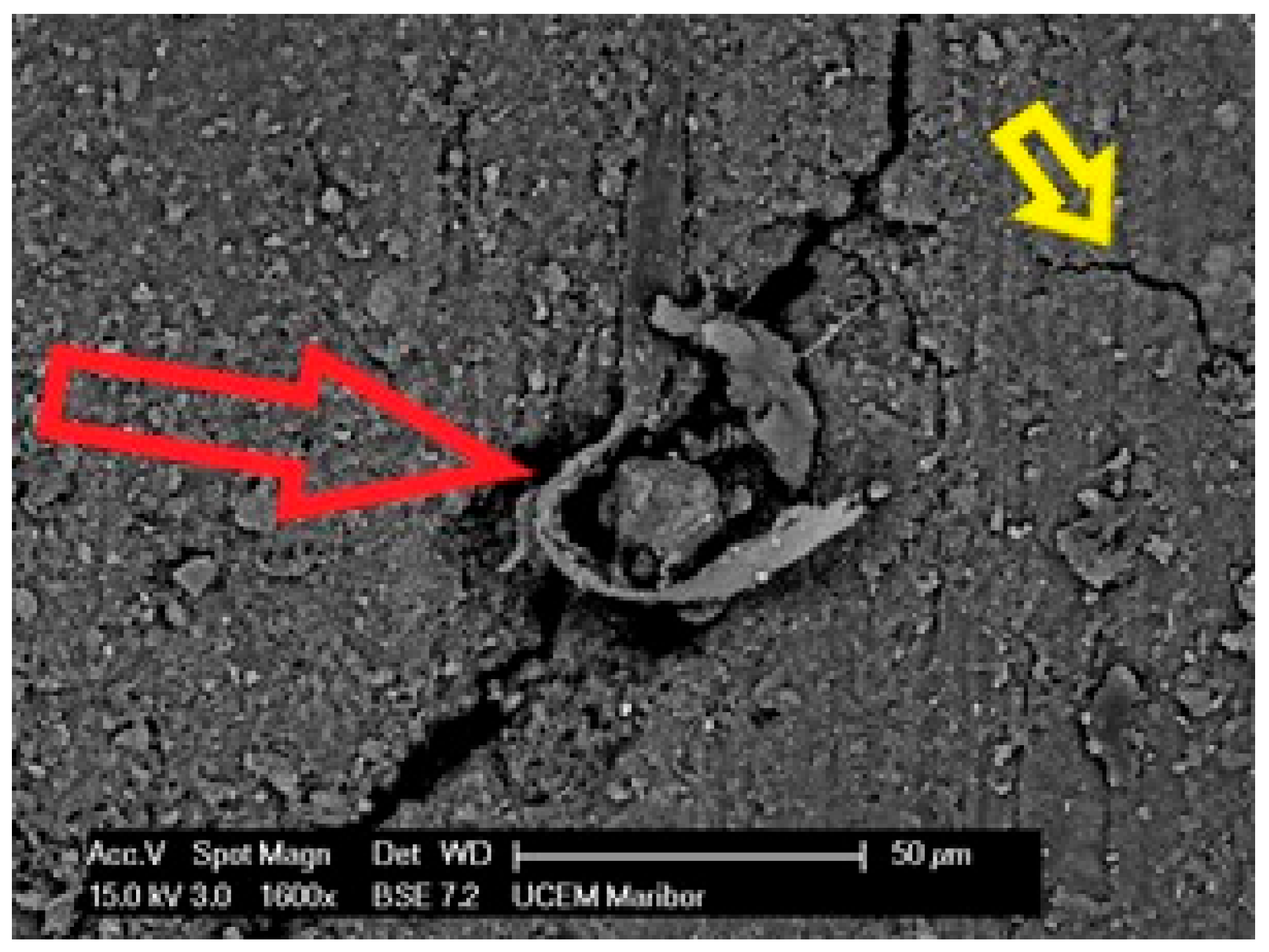 Polymers 14 01312 g021