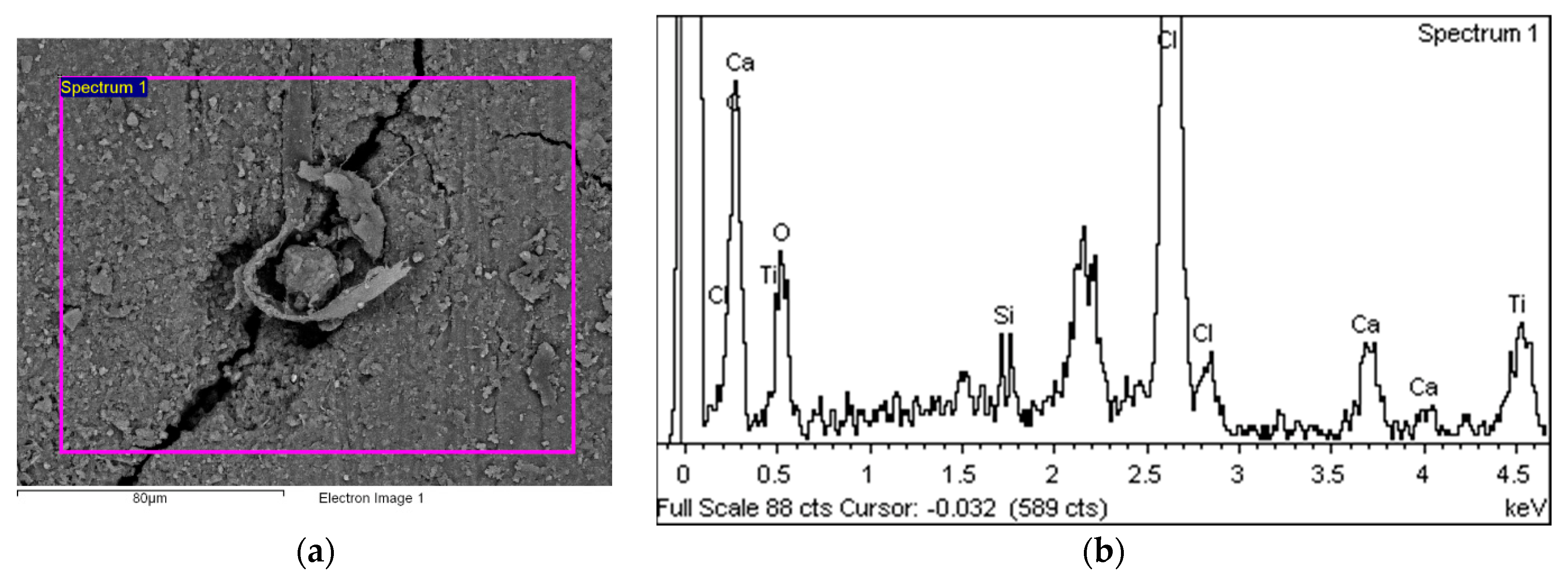 Polymers 14 01312 g023