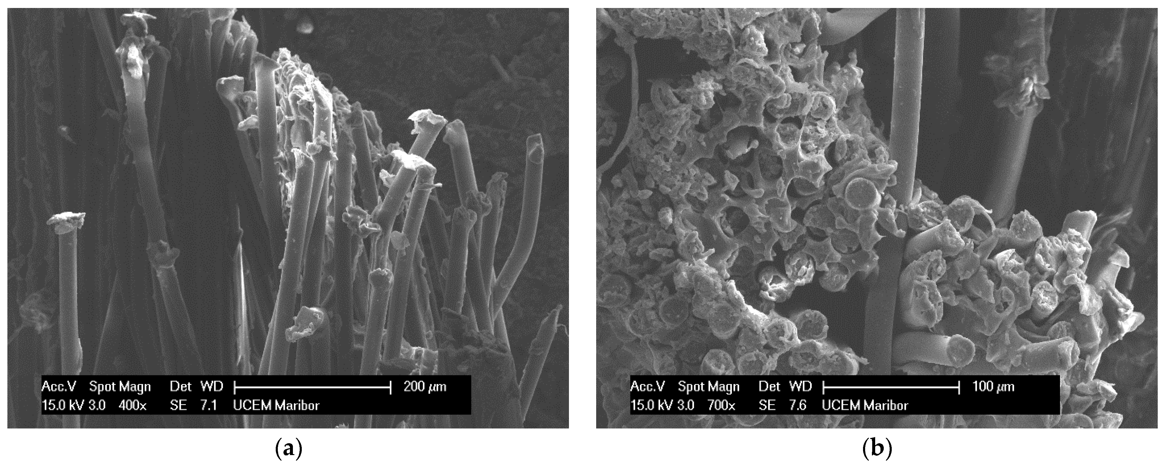 Polymers 14 01312 g032