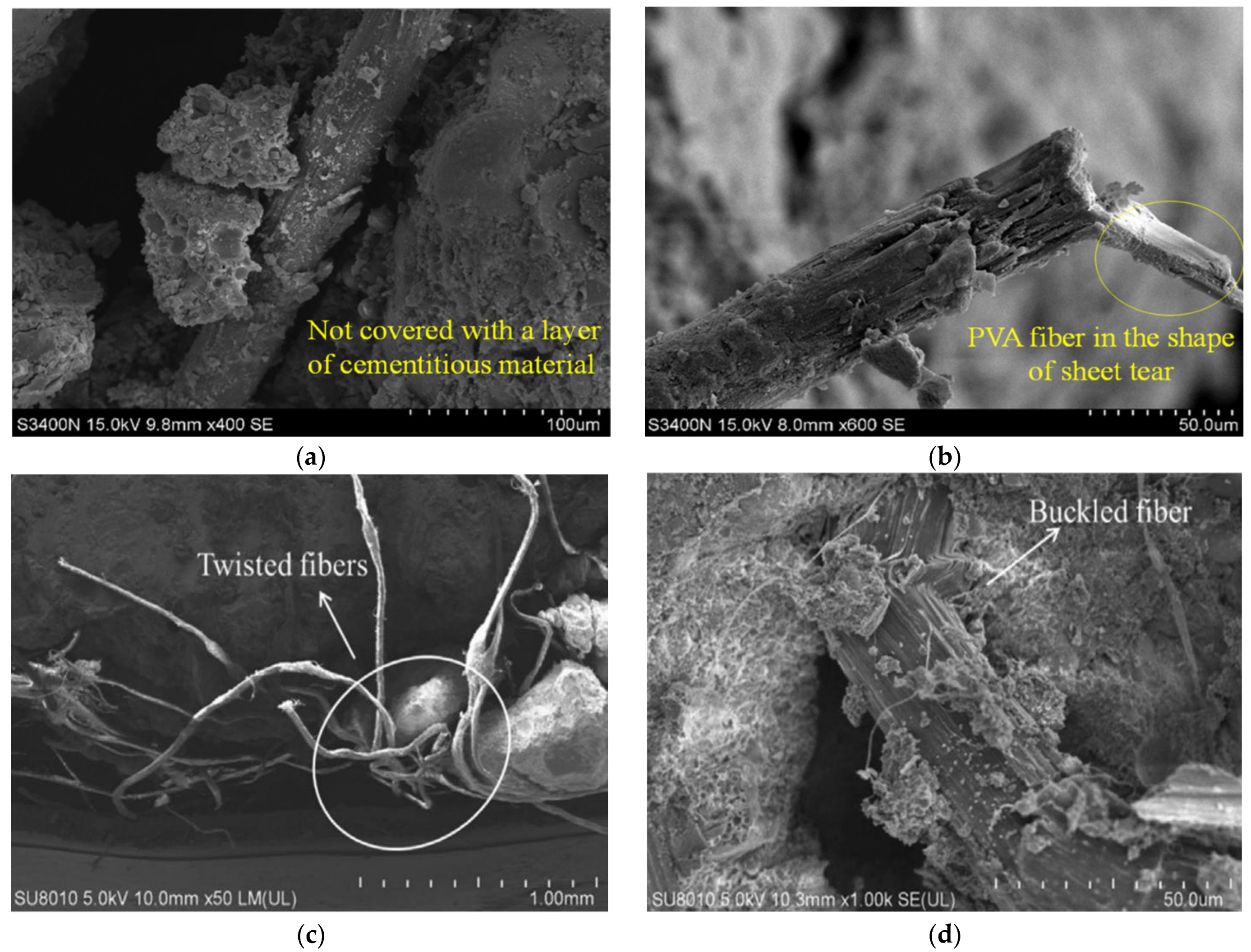 Polymers 14 01315 g001