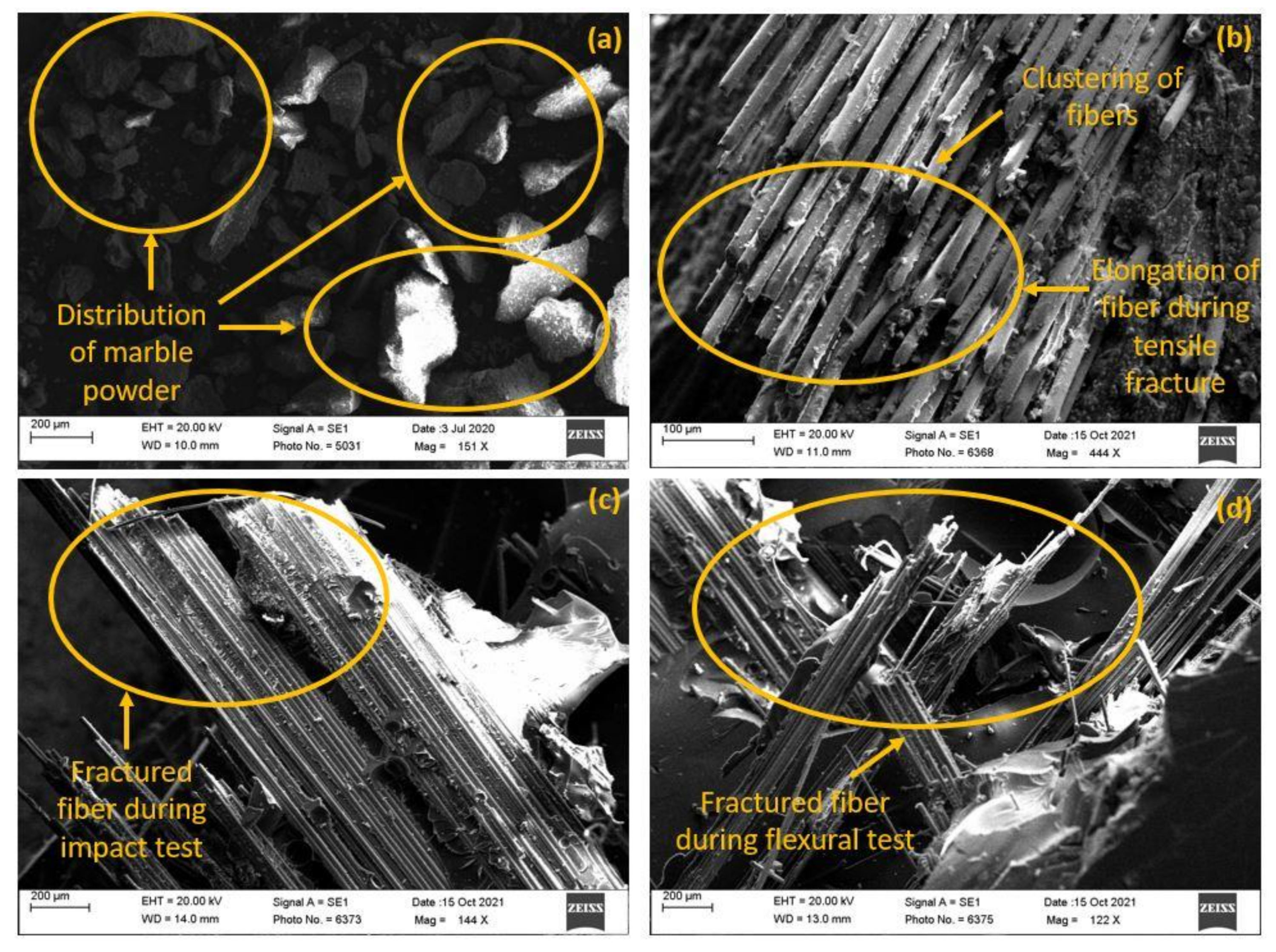 Polymers 14 01325 g009