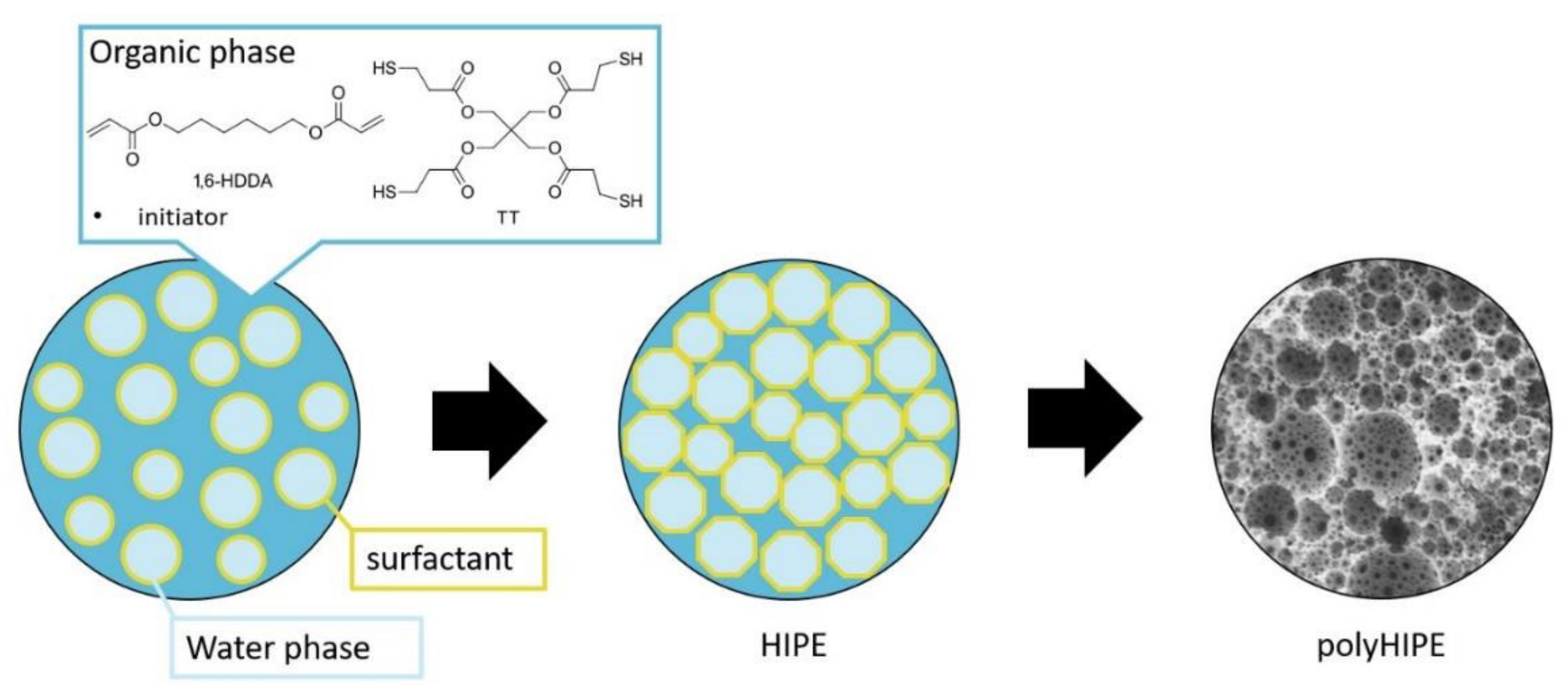 Polymers 14 01338 g001