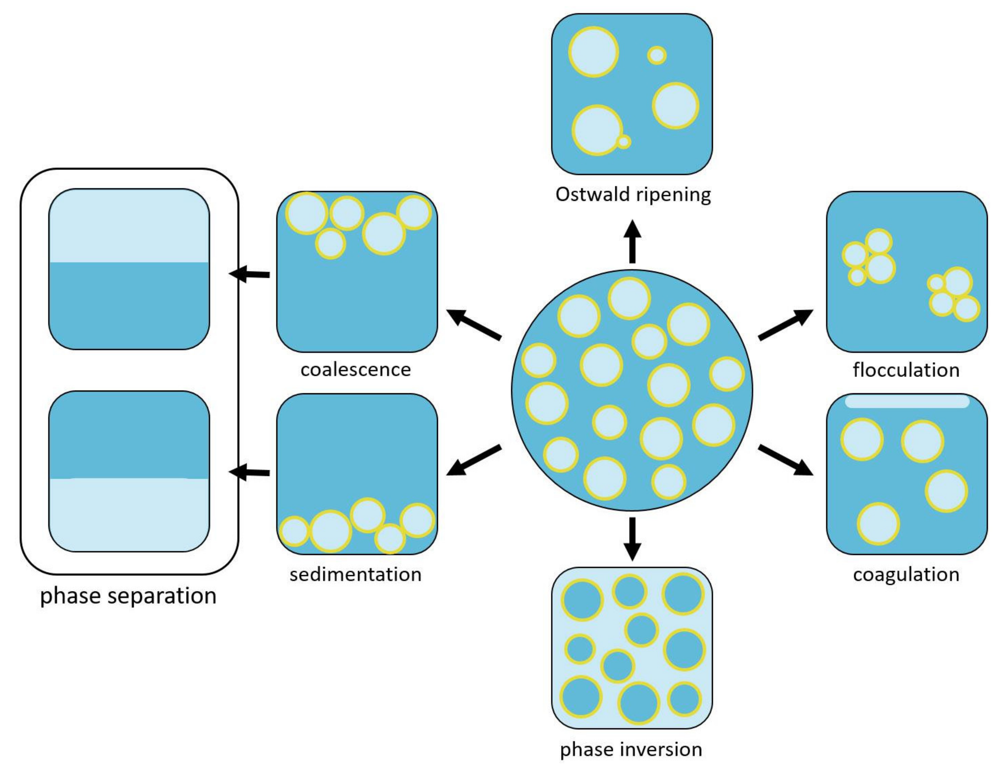 Polymers 14 01338 g002