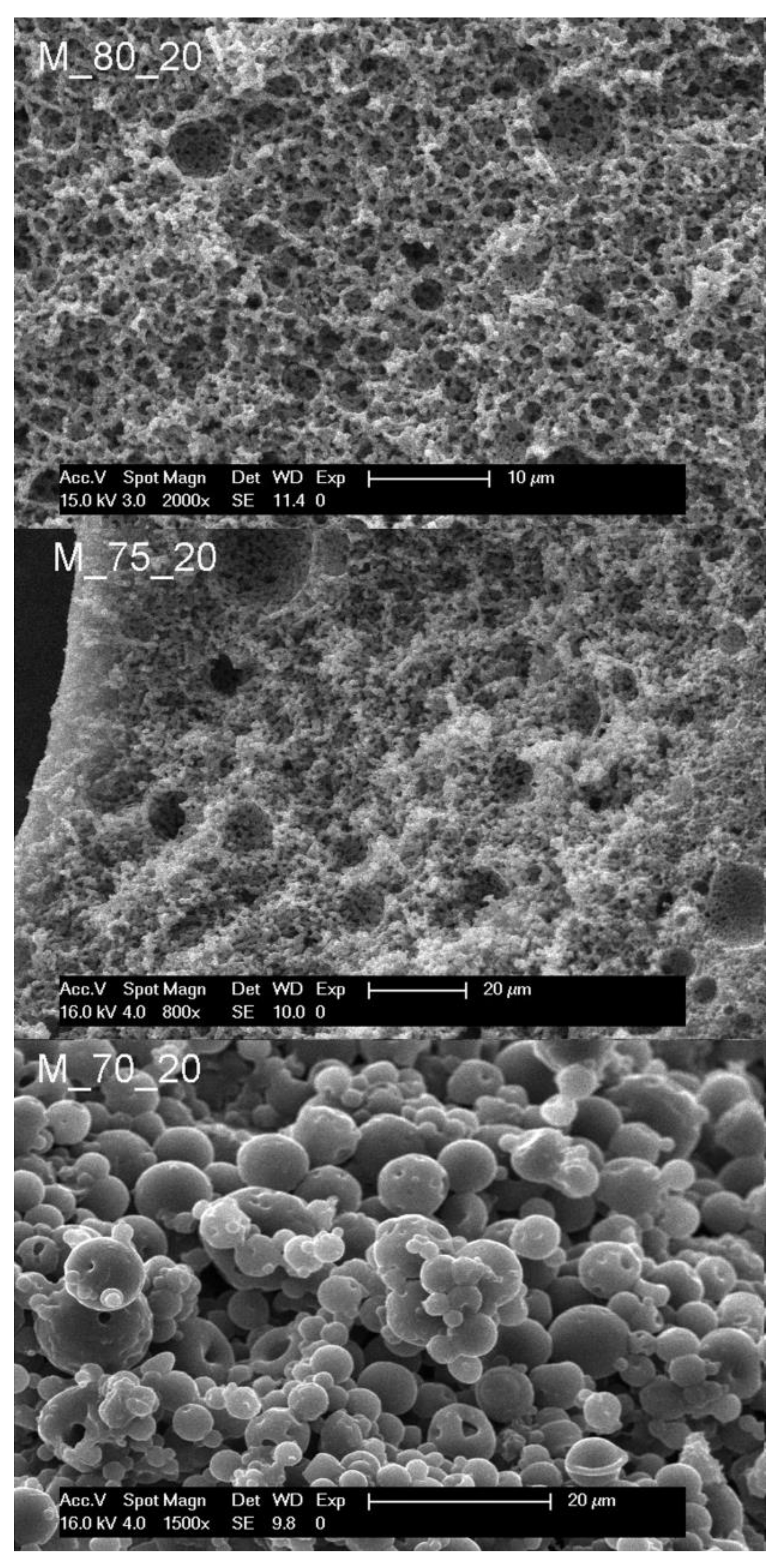 Polymers 14 01338 g003
