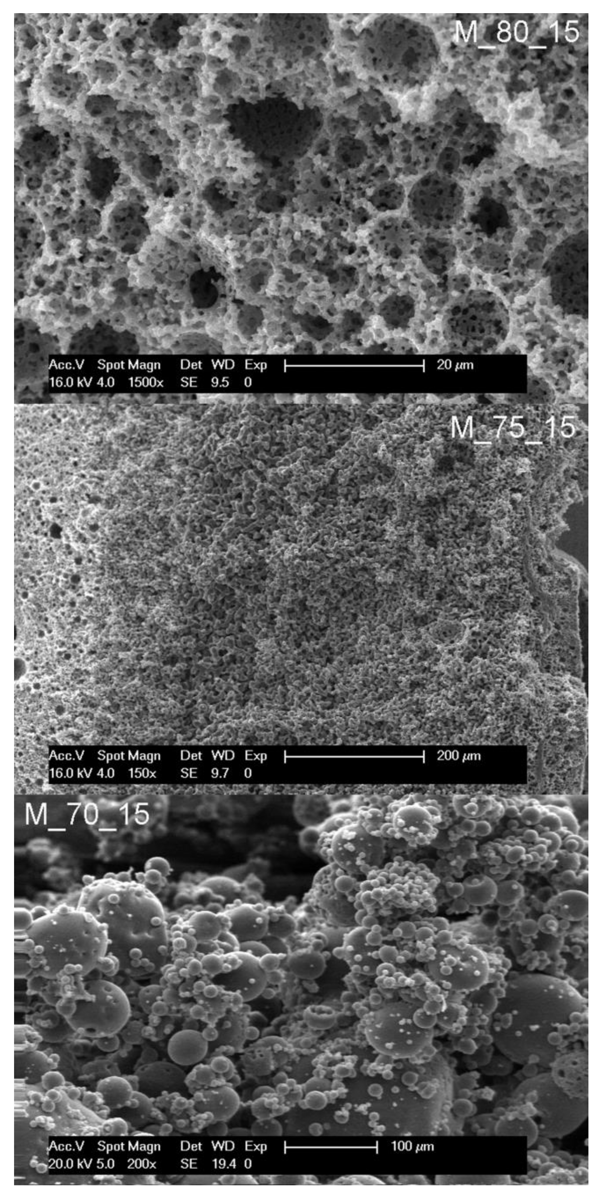 Polymers 14 01338 g005