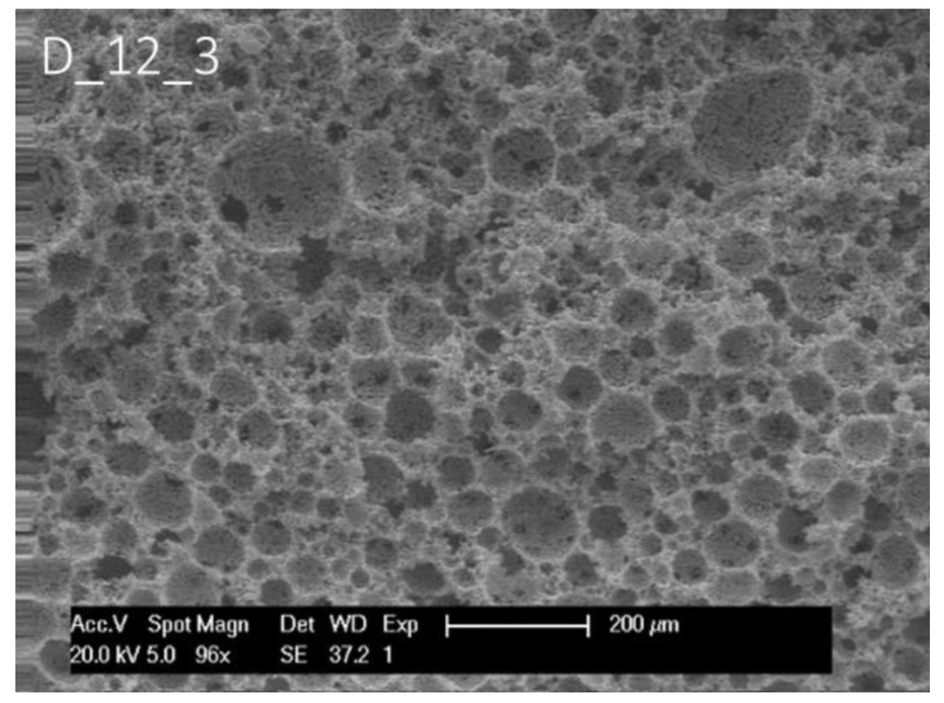 Polymers 14 01338 g007