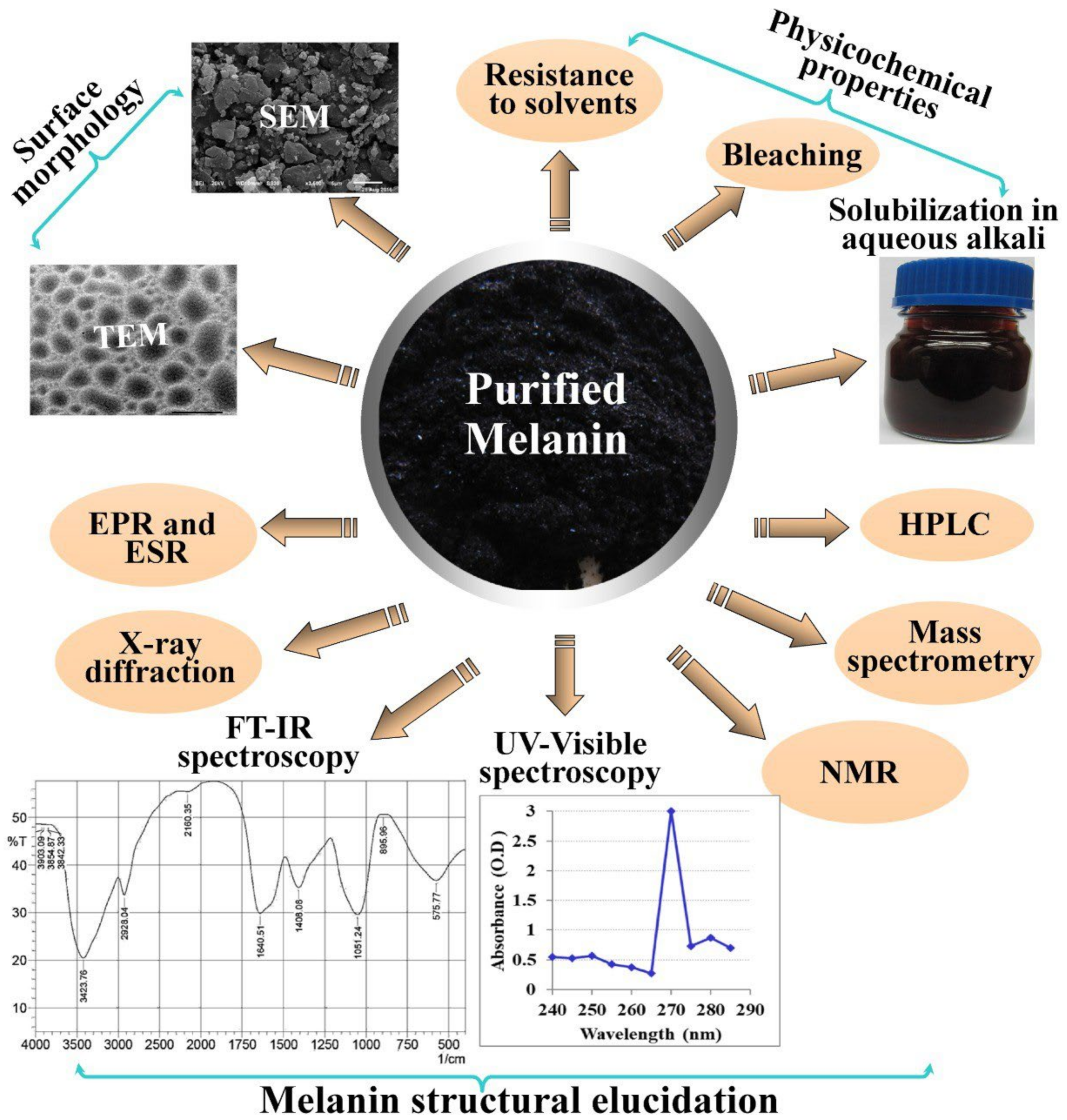 Polymers 14 01339 g005