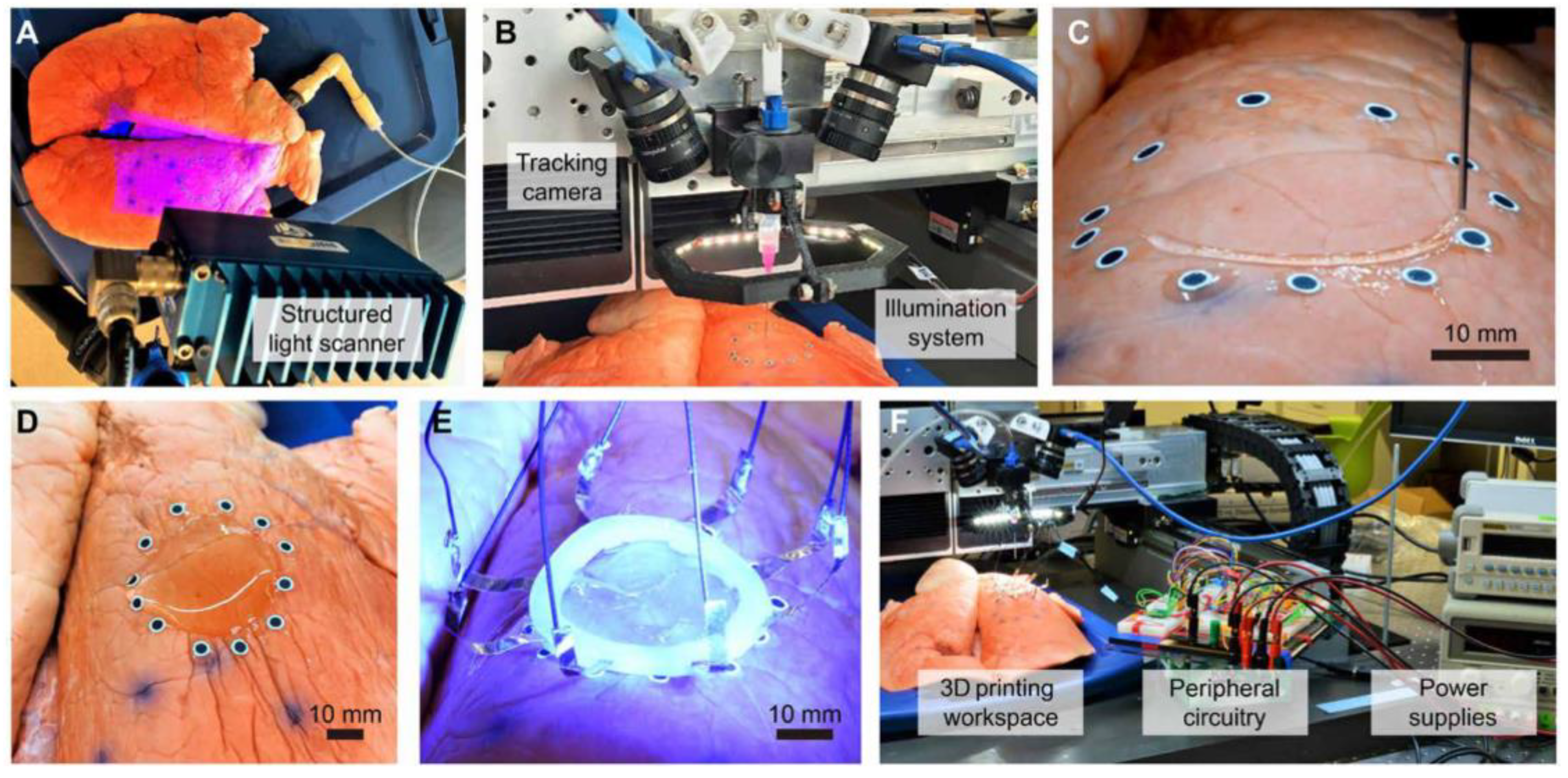 Polymers 14 01351 g018