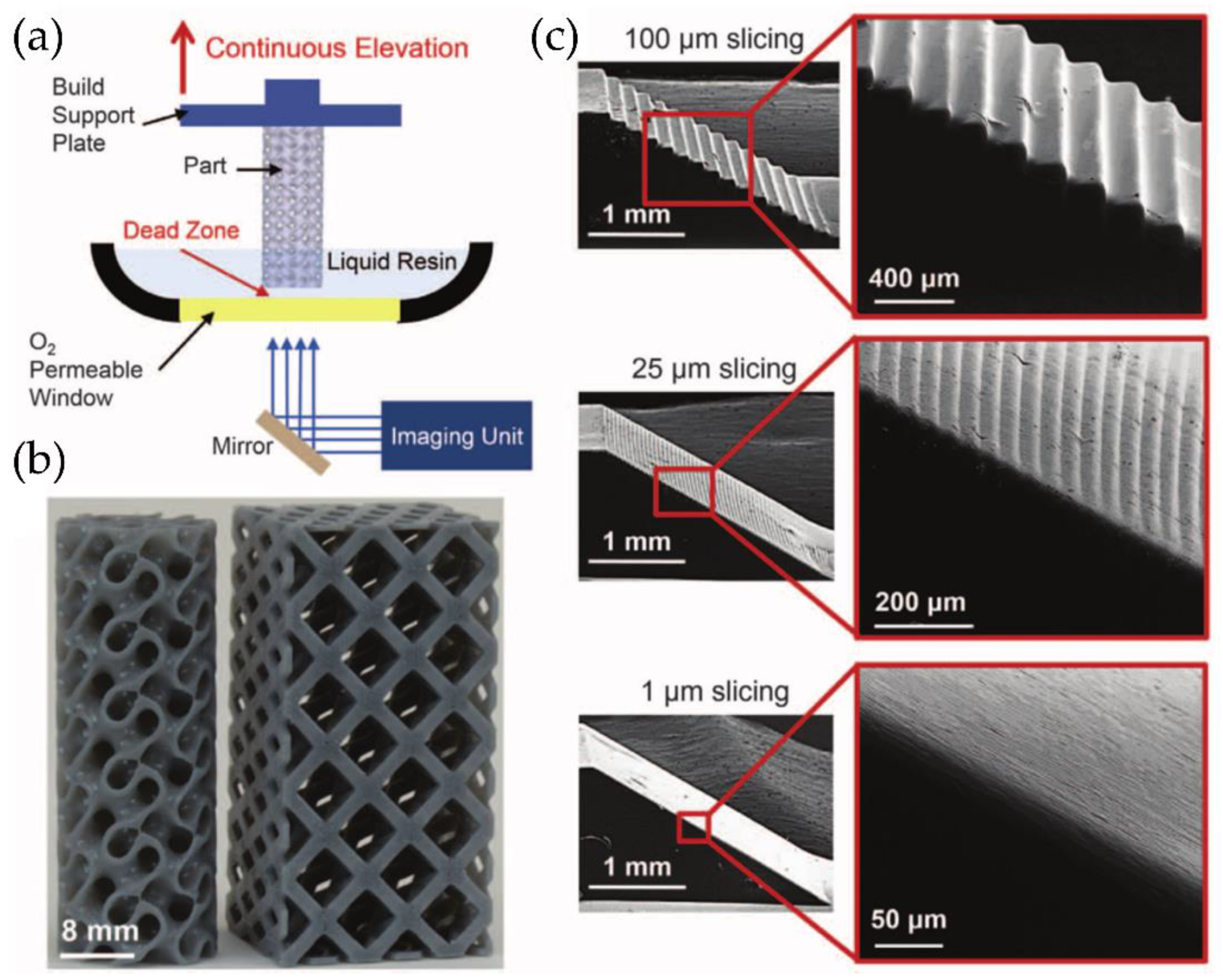 Polymers 14 01351 g021