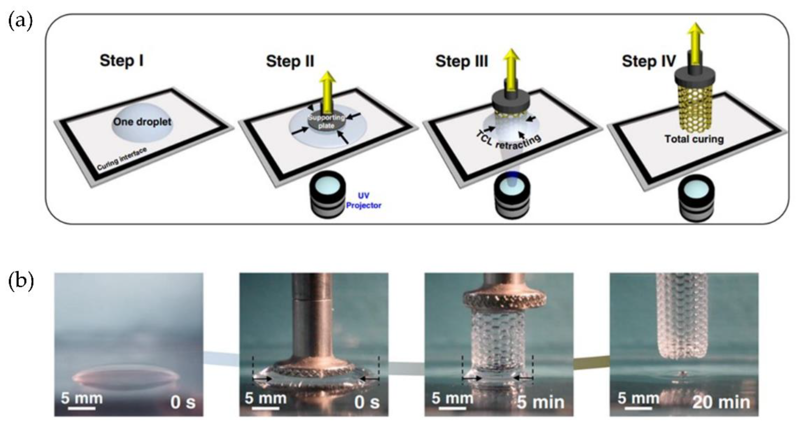 Polymers 14 01351 g025