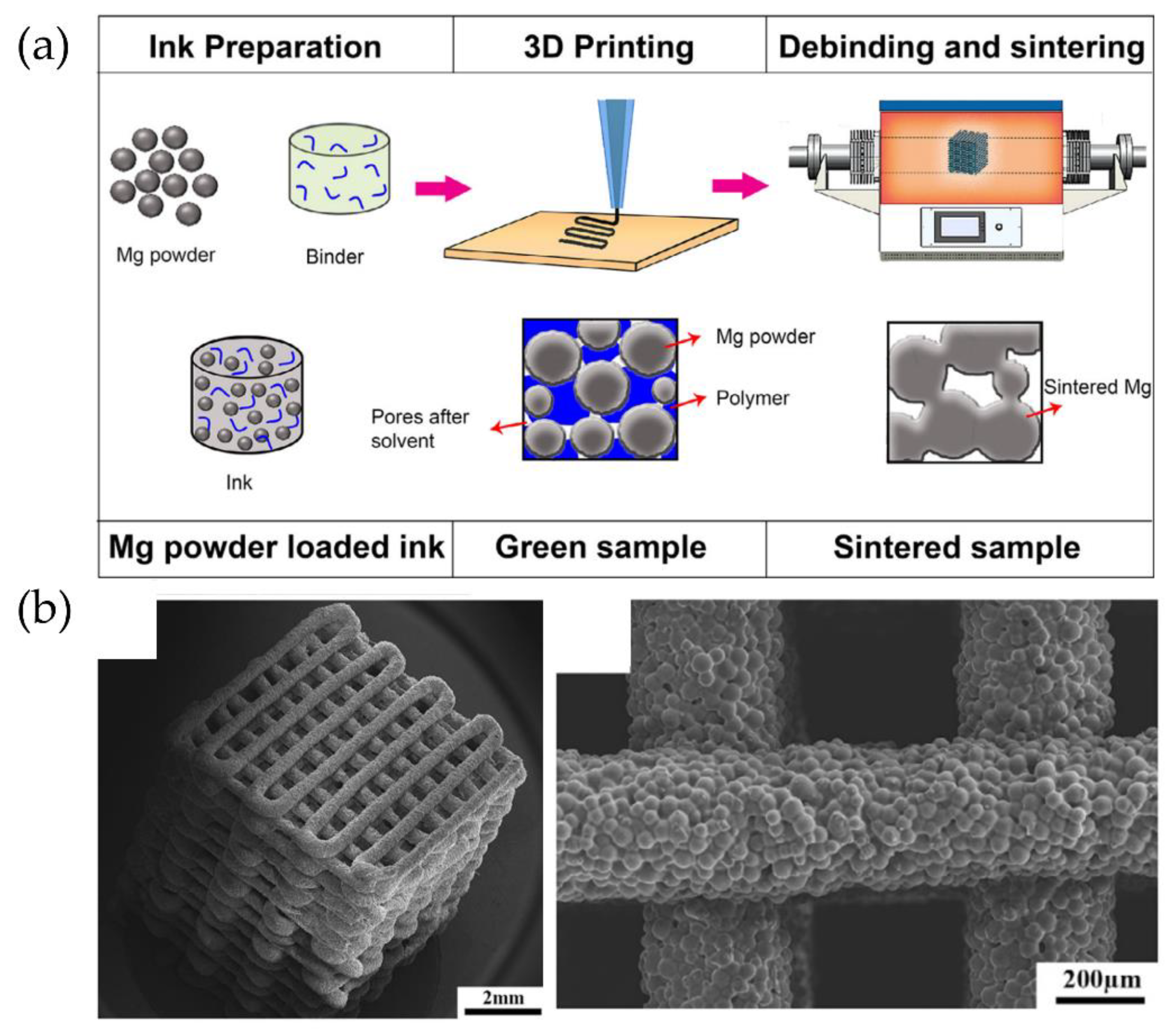 Polymers 14 01351 g035