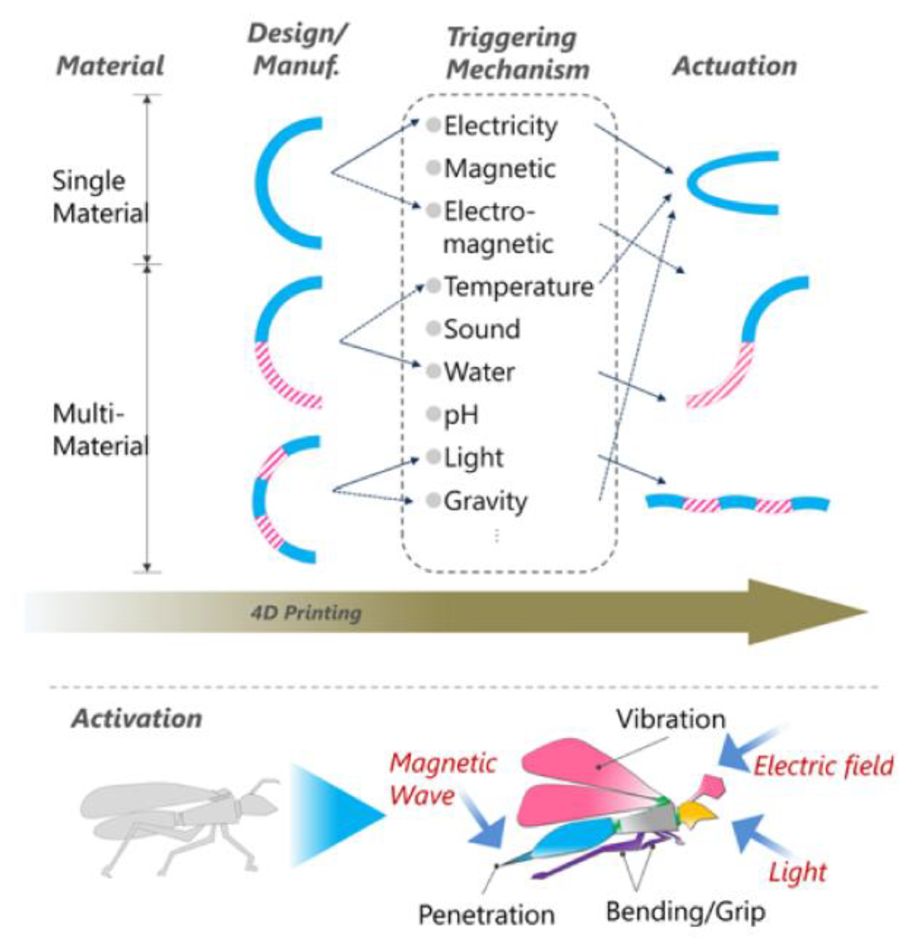 Polymers 14 01351 g037
