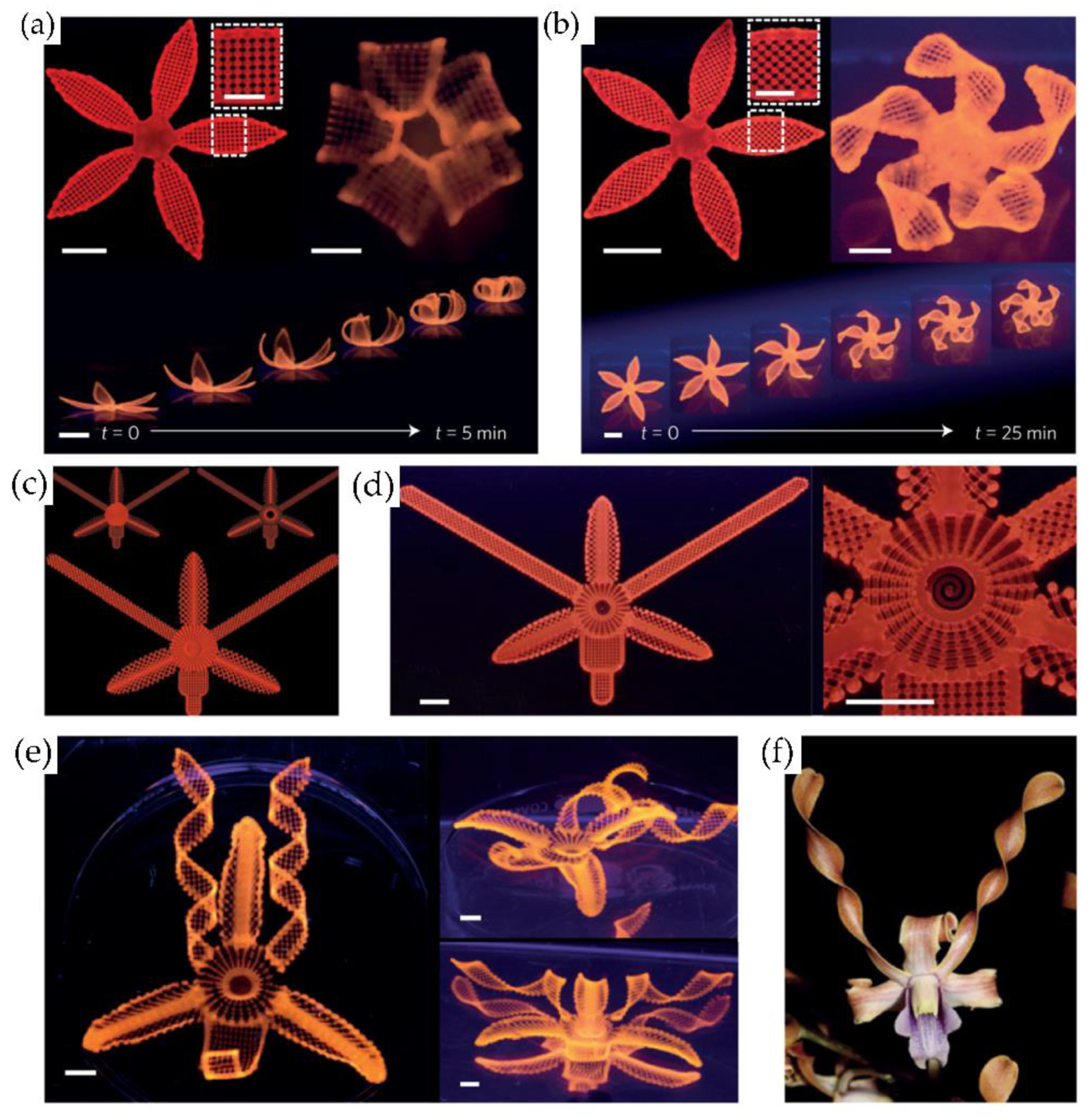 Polymers 14 01351 g038