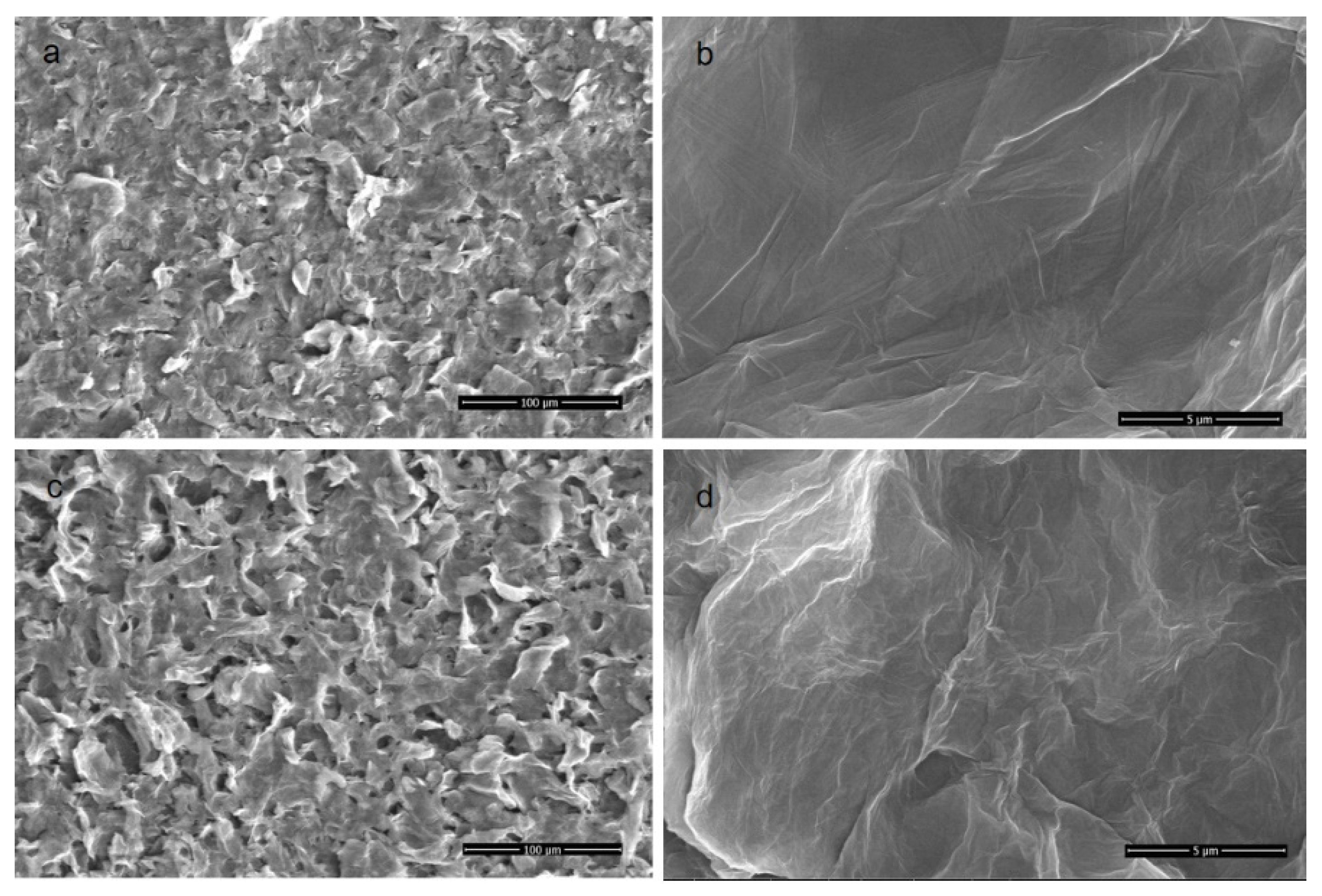 Polymers 14 01353 g003