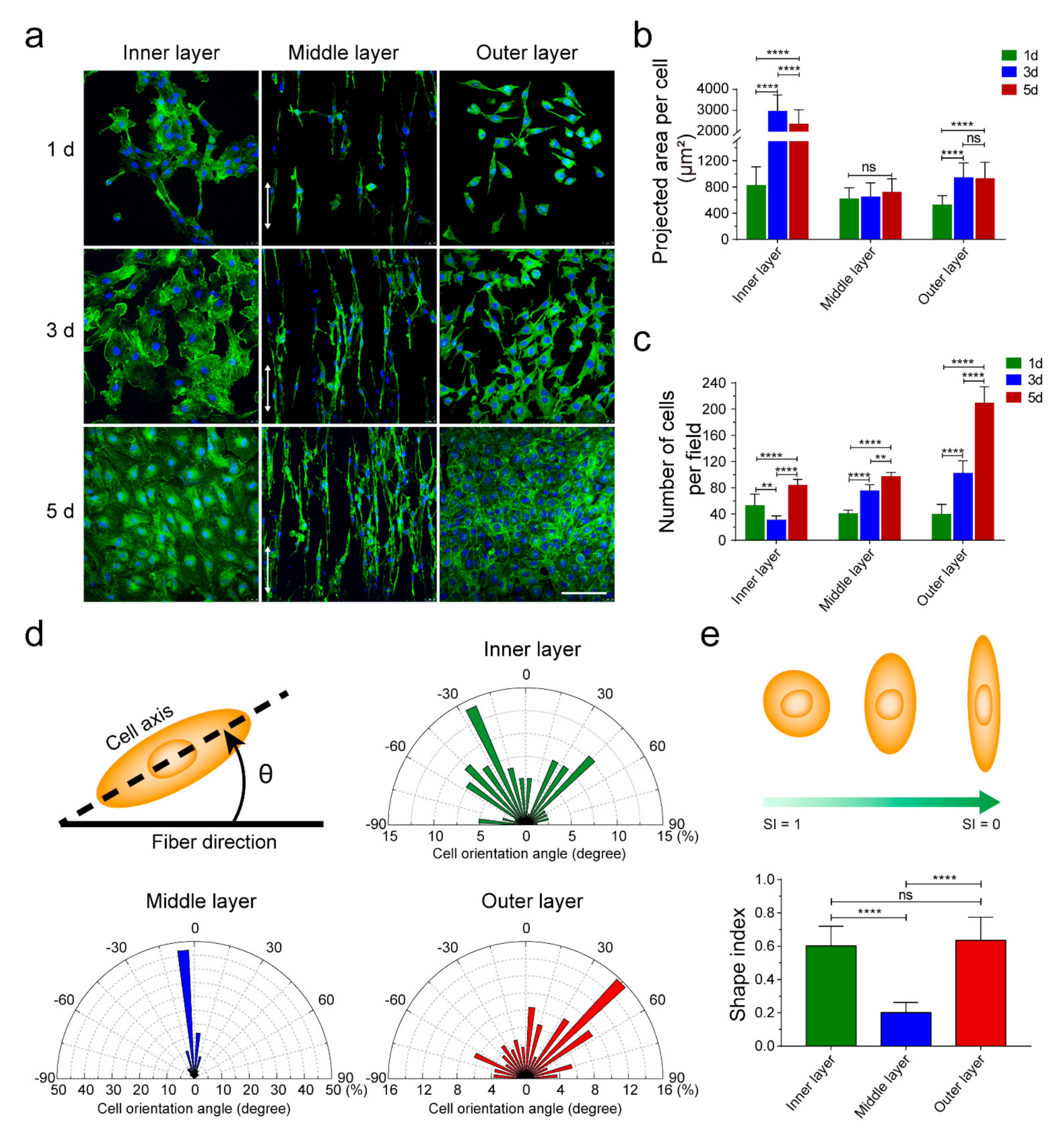 Polymers 14 01370 g004
