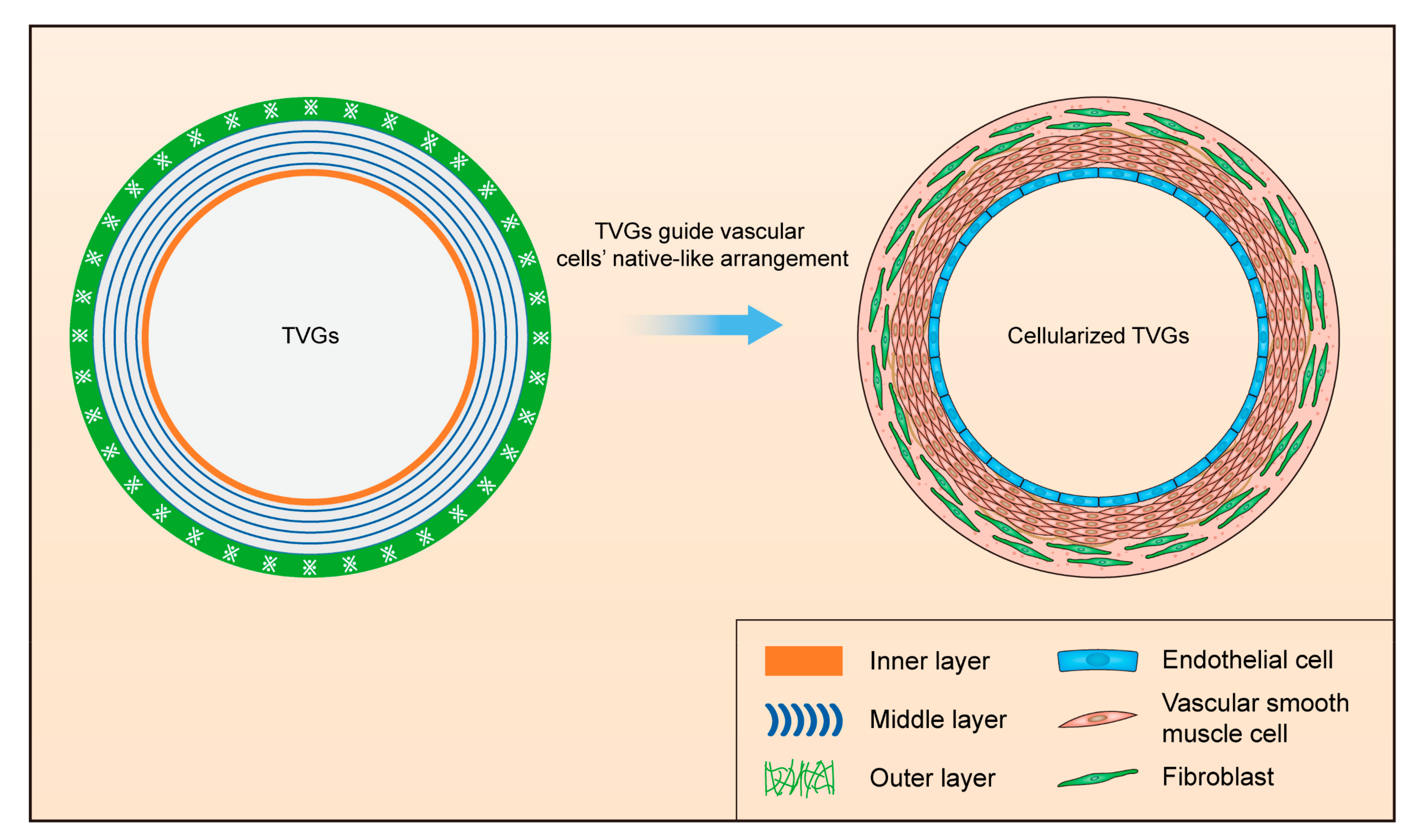 Polymers 14 01370 g005