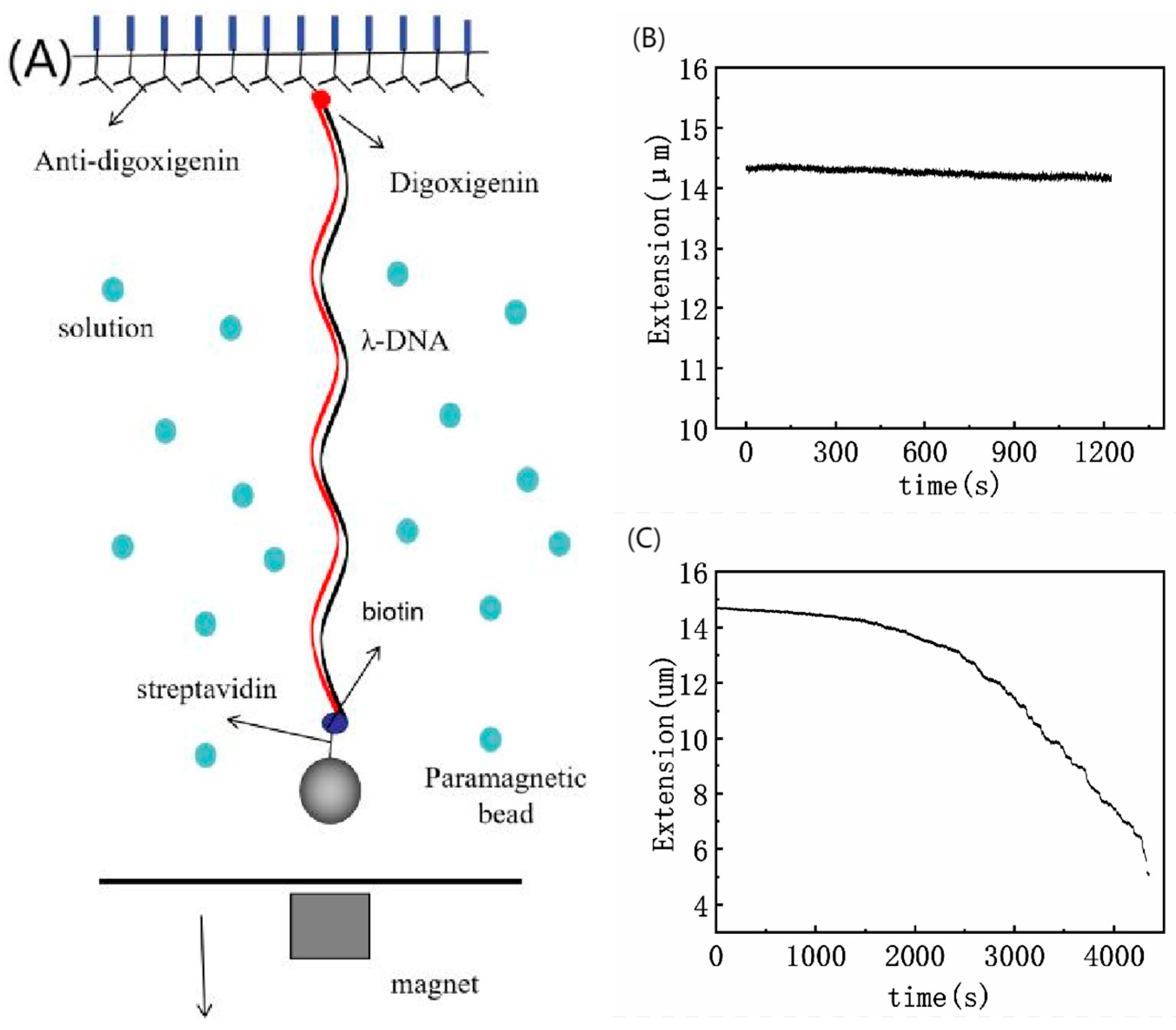 Polymers 14 01377 g001