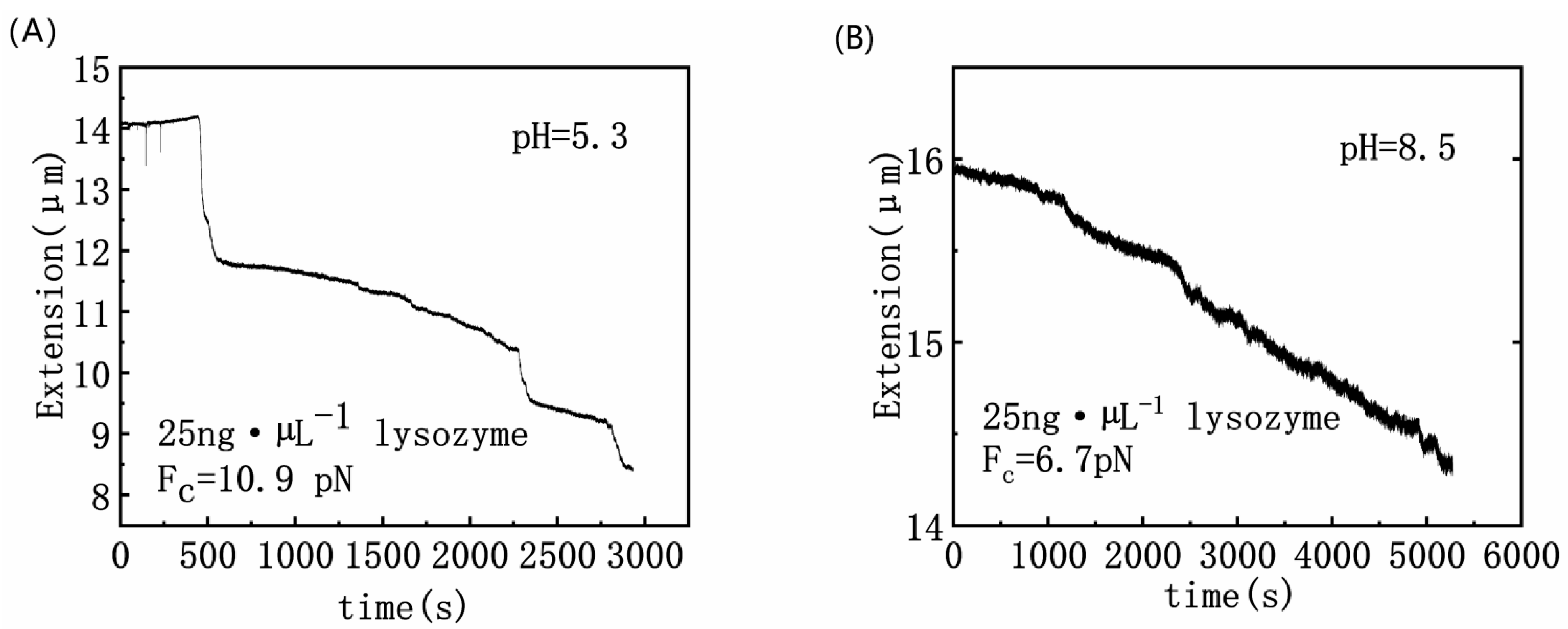 Polymers 14 01377 g003
