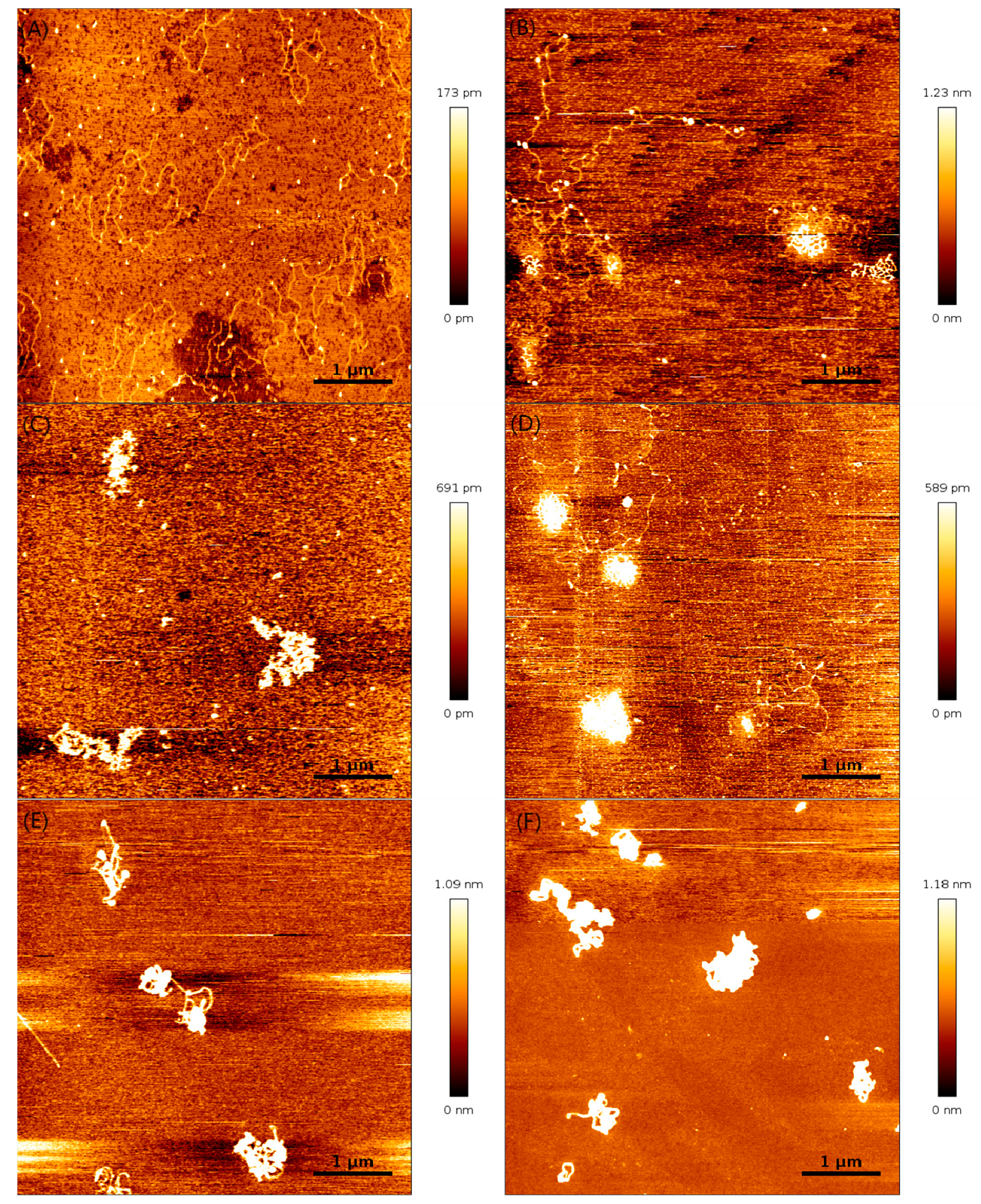 Polymers 14 01377 g007
