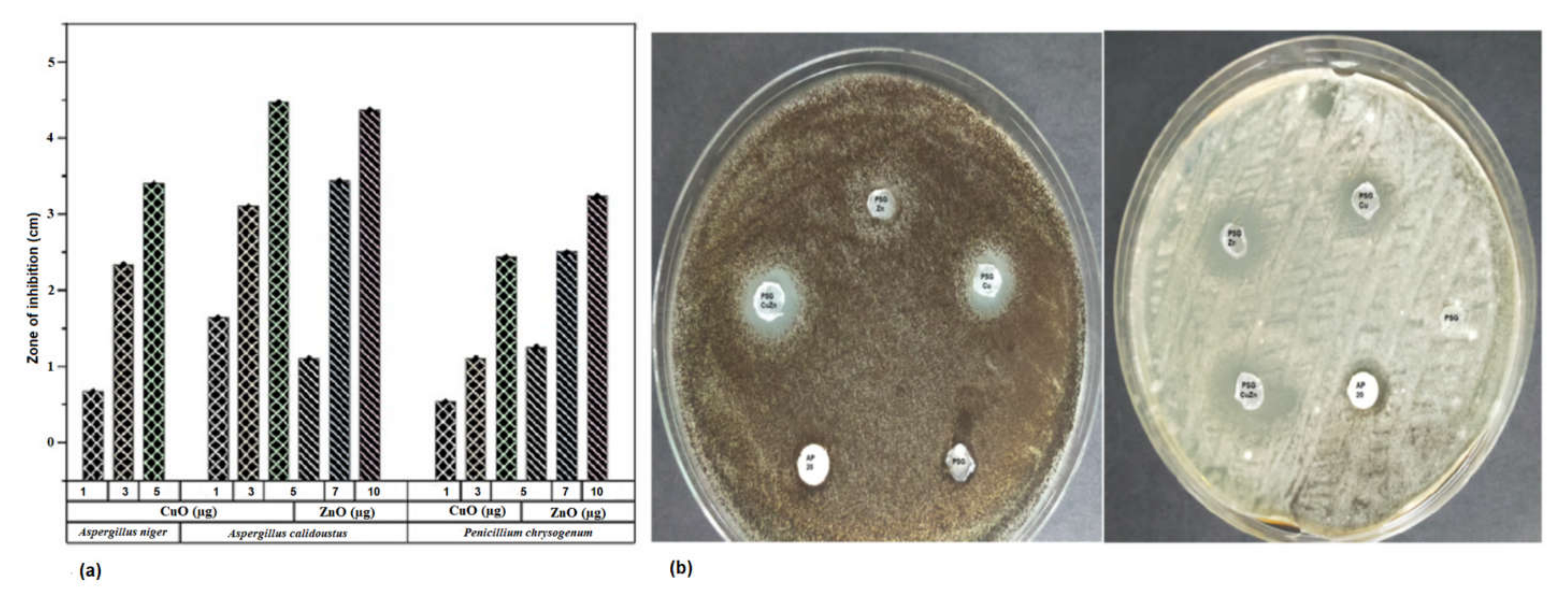 Polymers 14 01379 g009