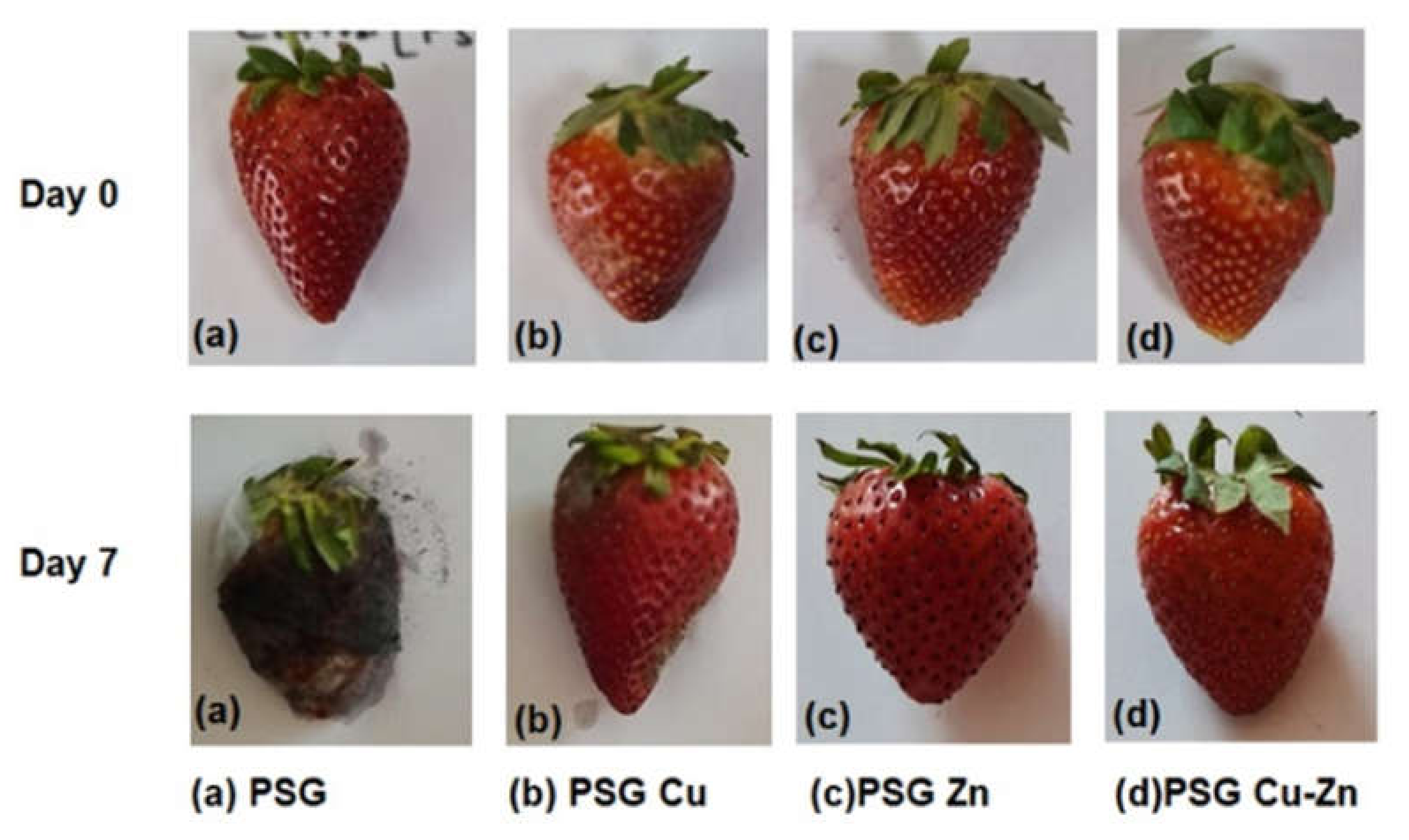 Polymers 14 01379 g010