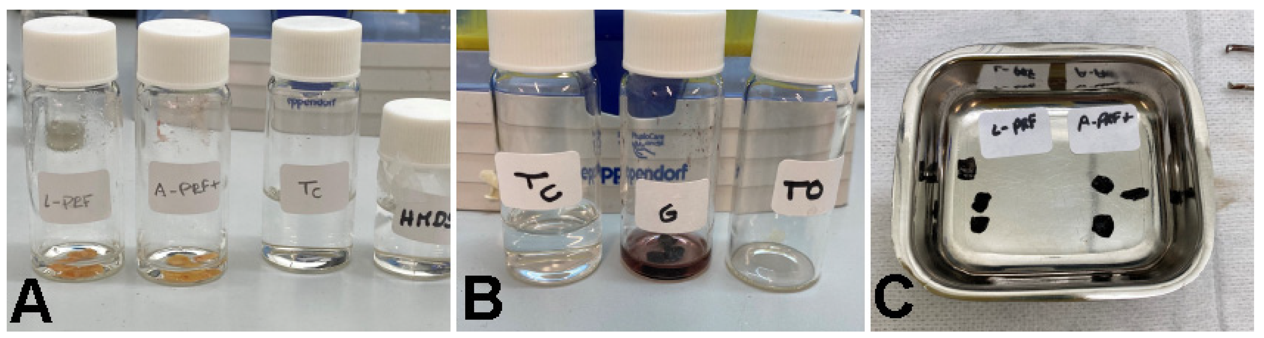 Polymers 14 01392 g003