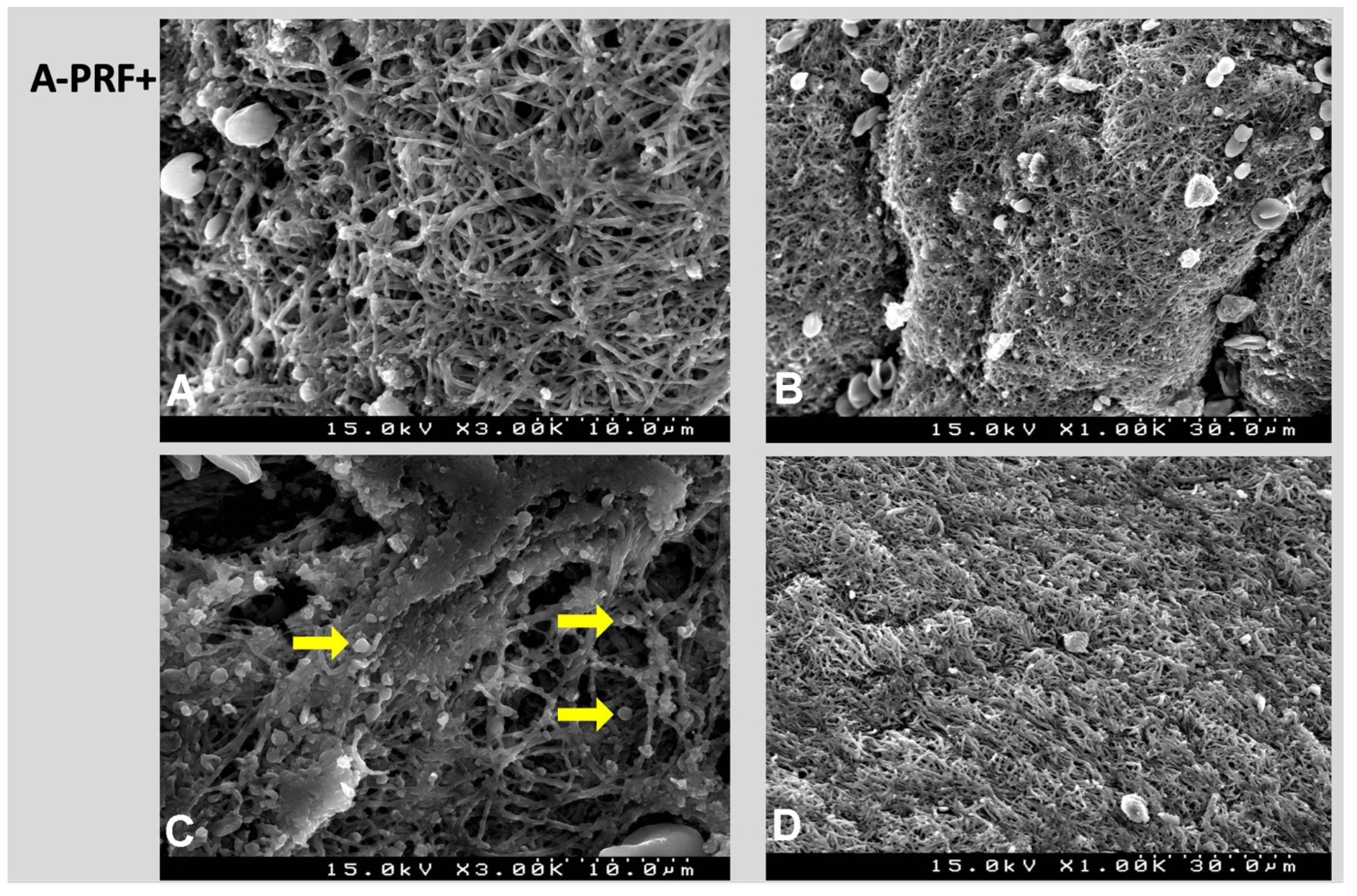 Polymers 14 01392 g006