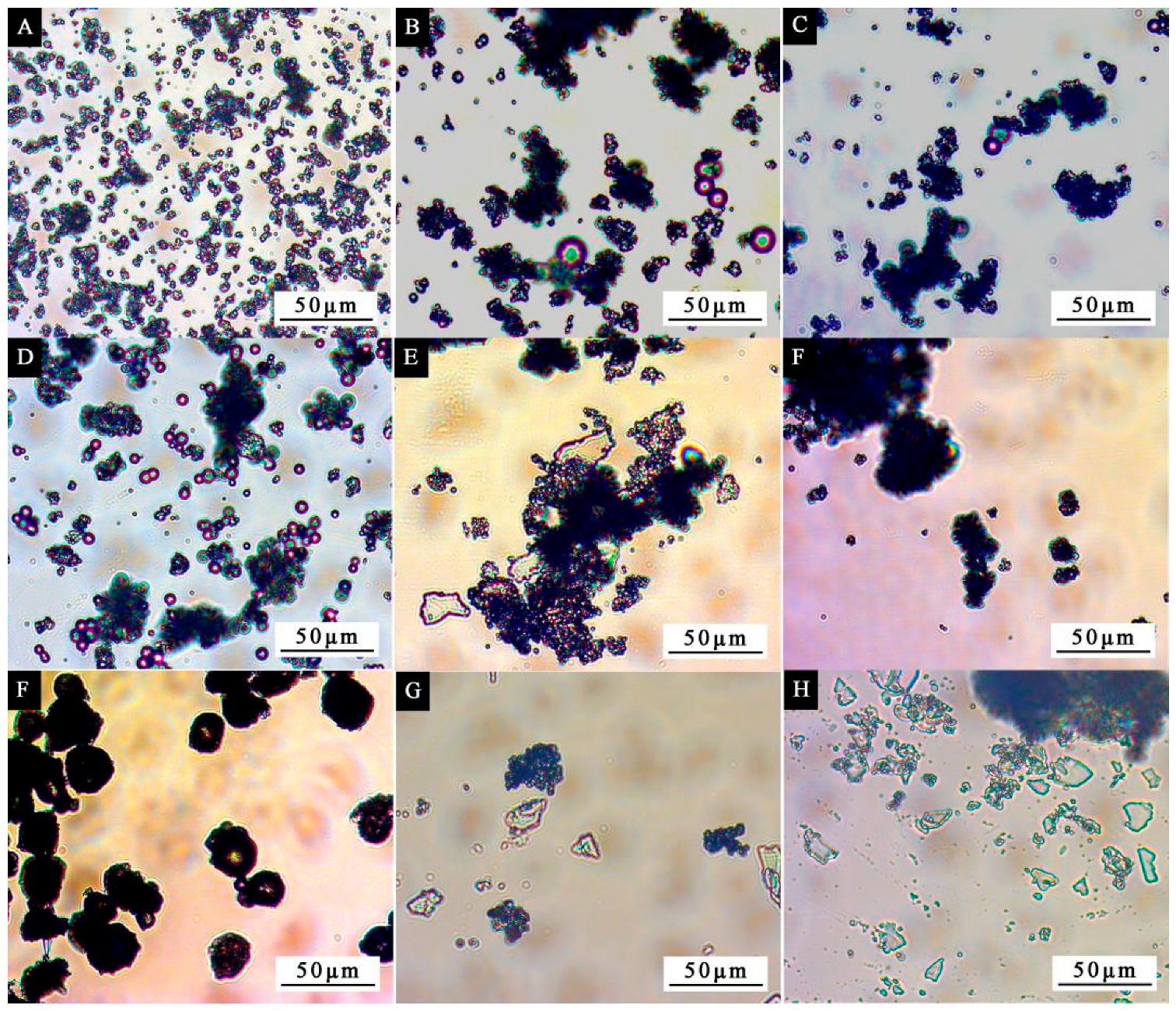 Polymers 14 01393 g003