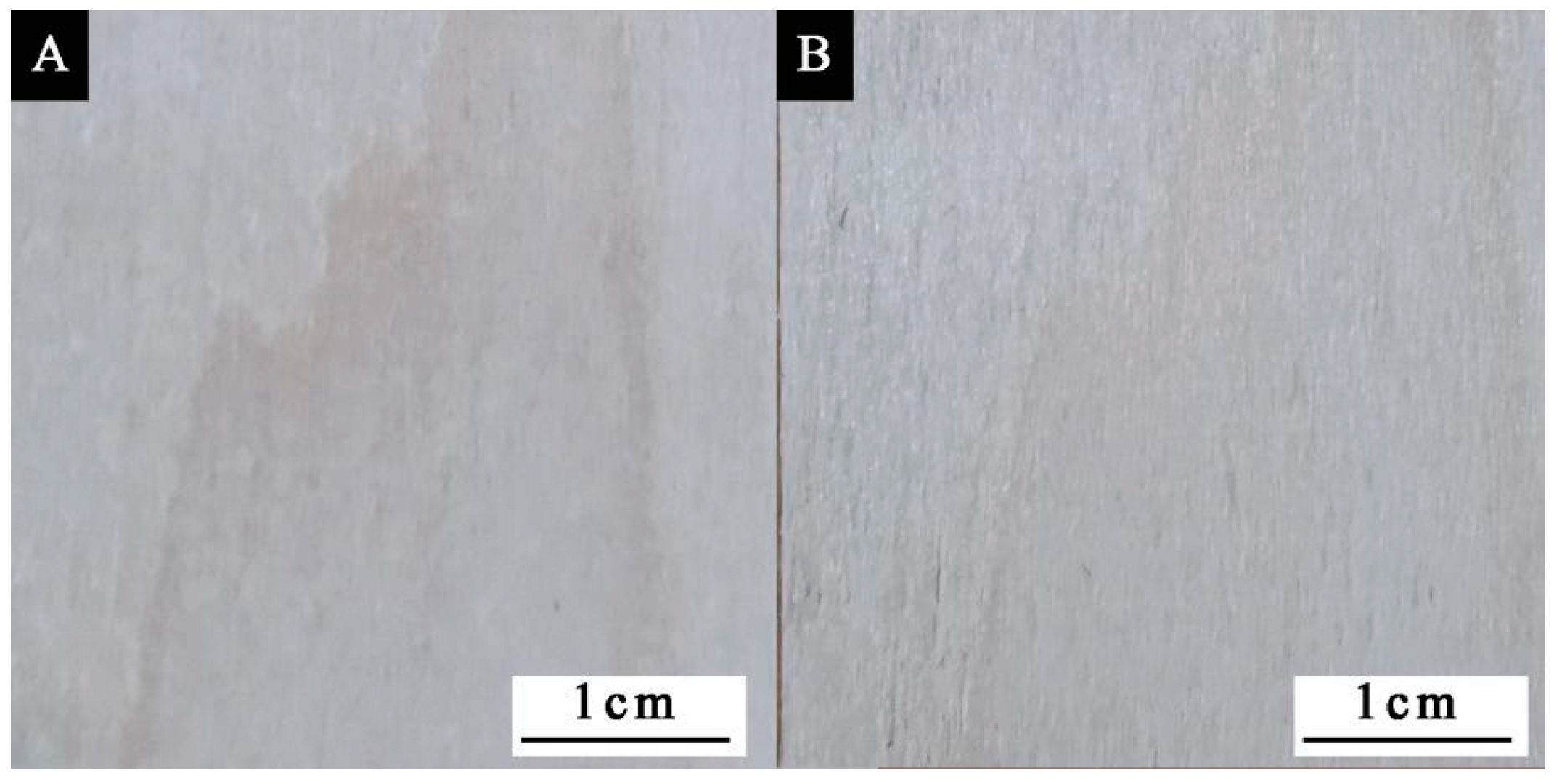 Polymers 14 01393 g011