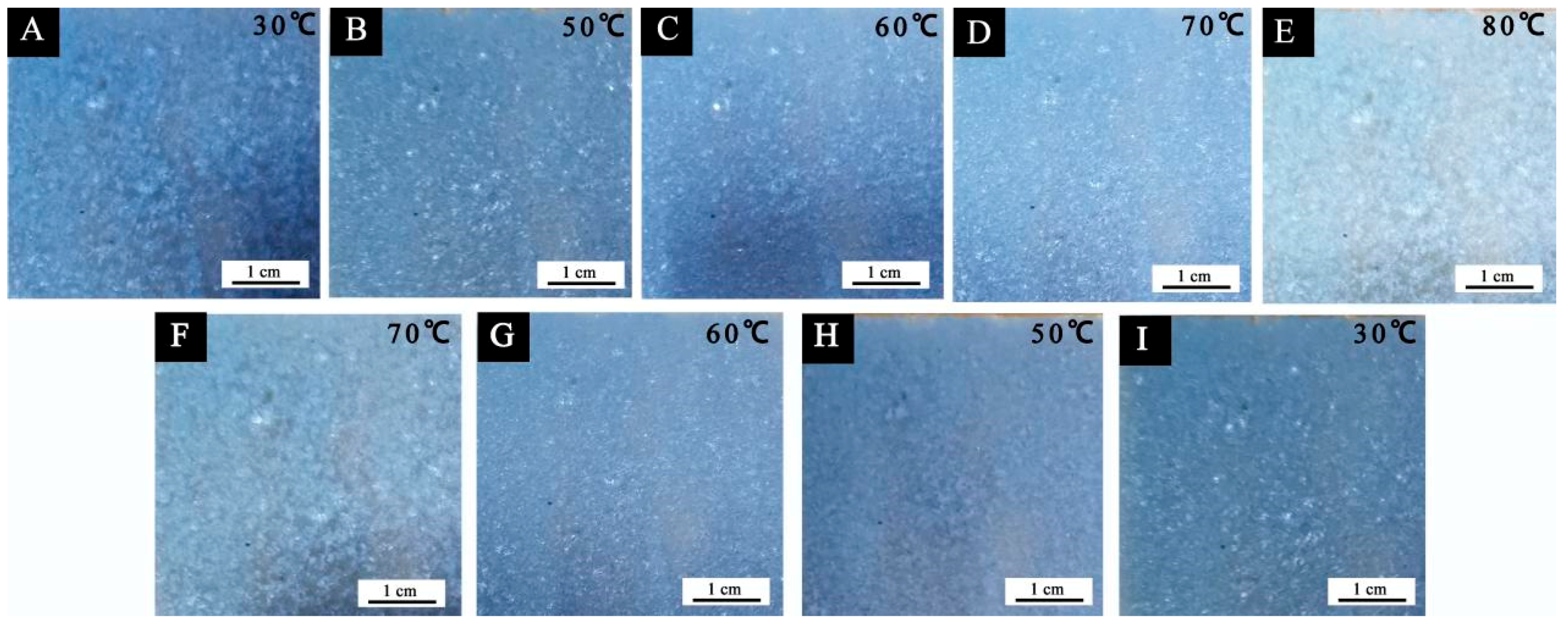 Polymers 14 01393 g012