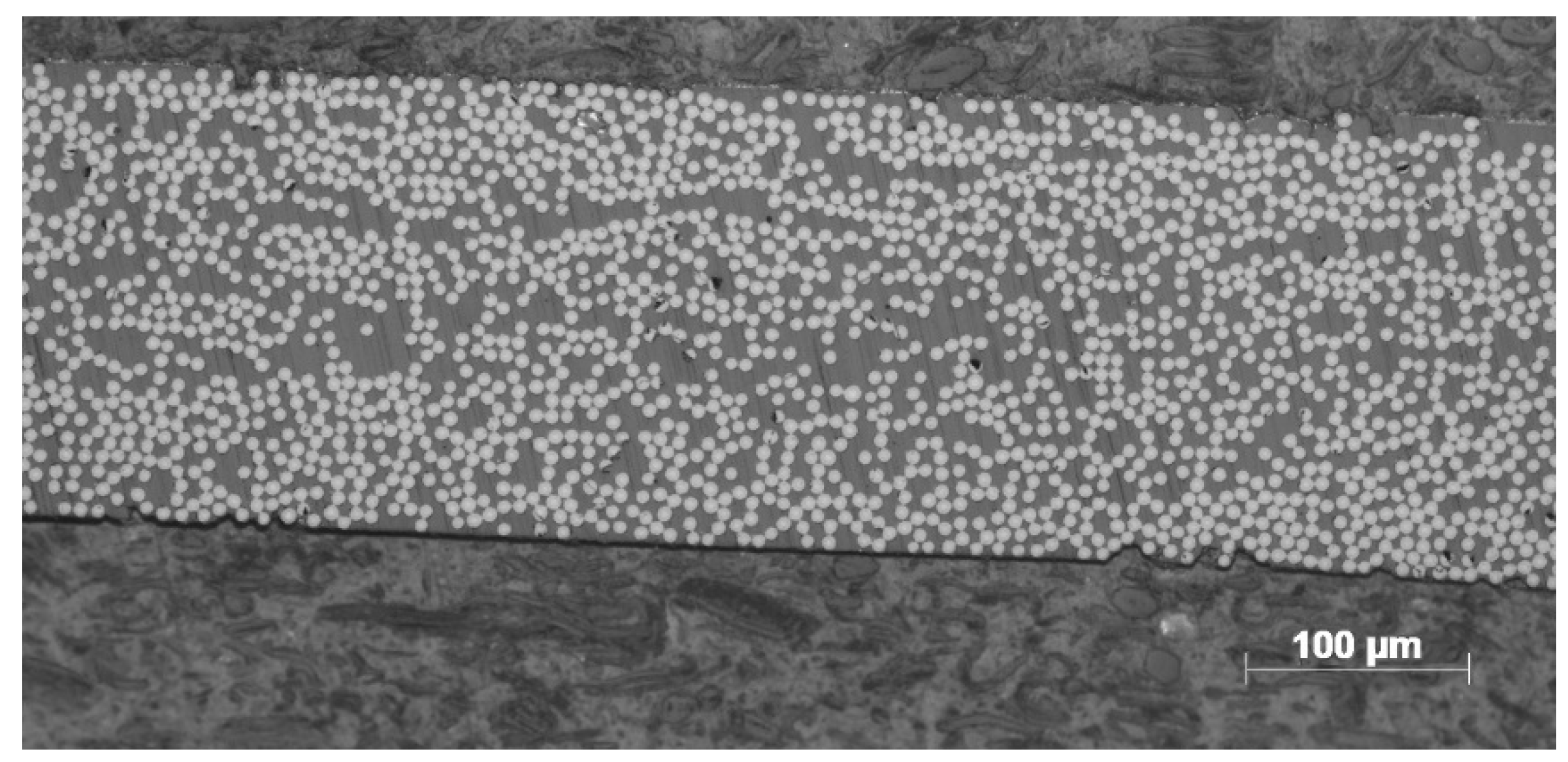 Polymers 14 01401 g005