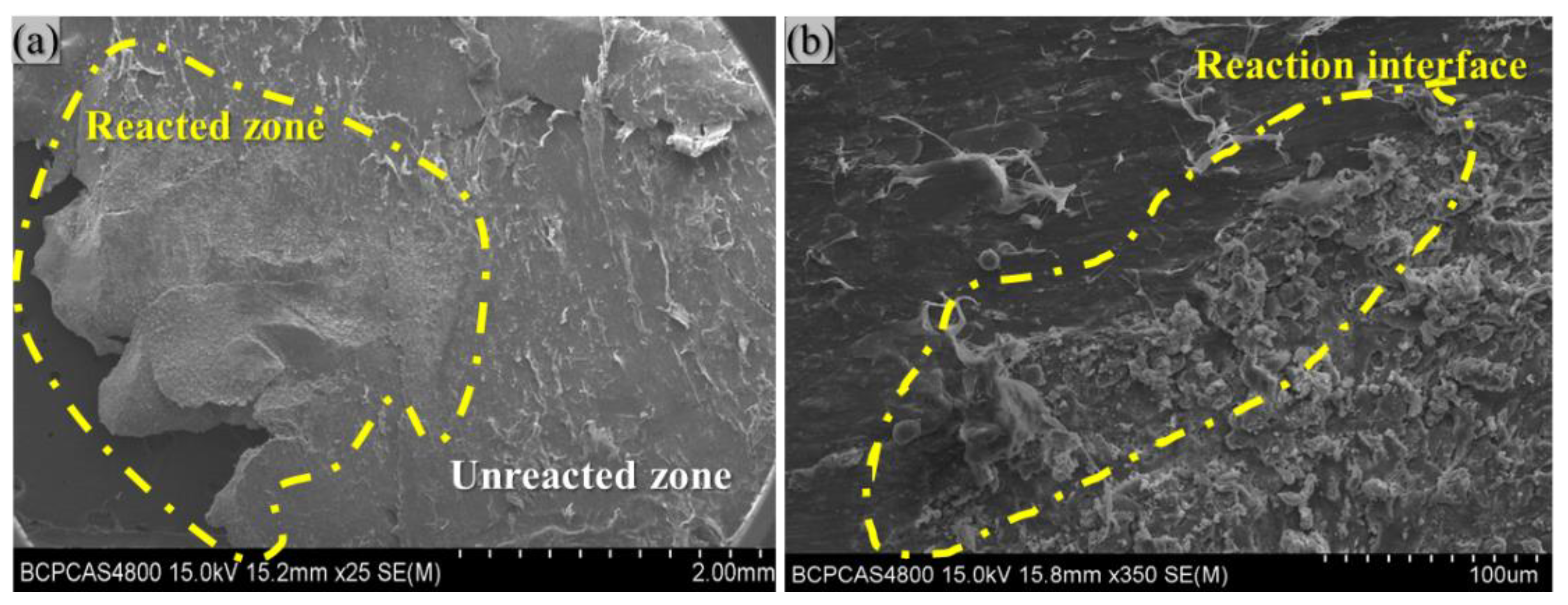 Polymers 14 01415 g009