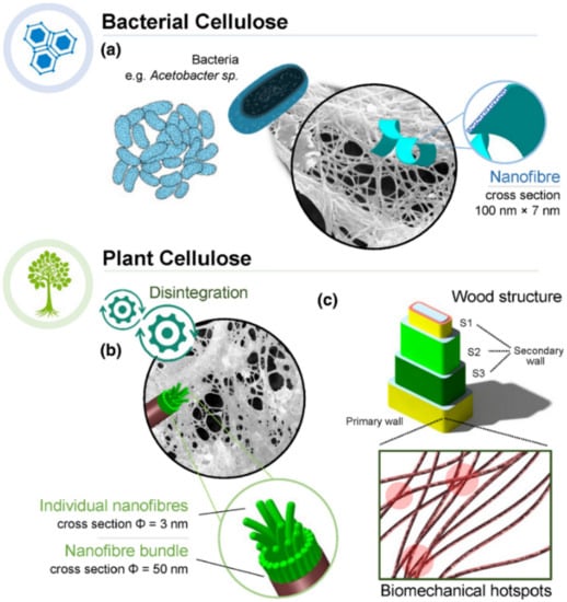 Polymers 14 01420 g003
