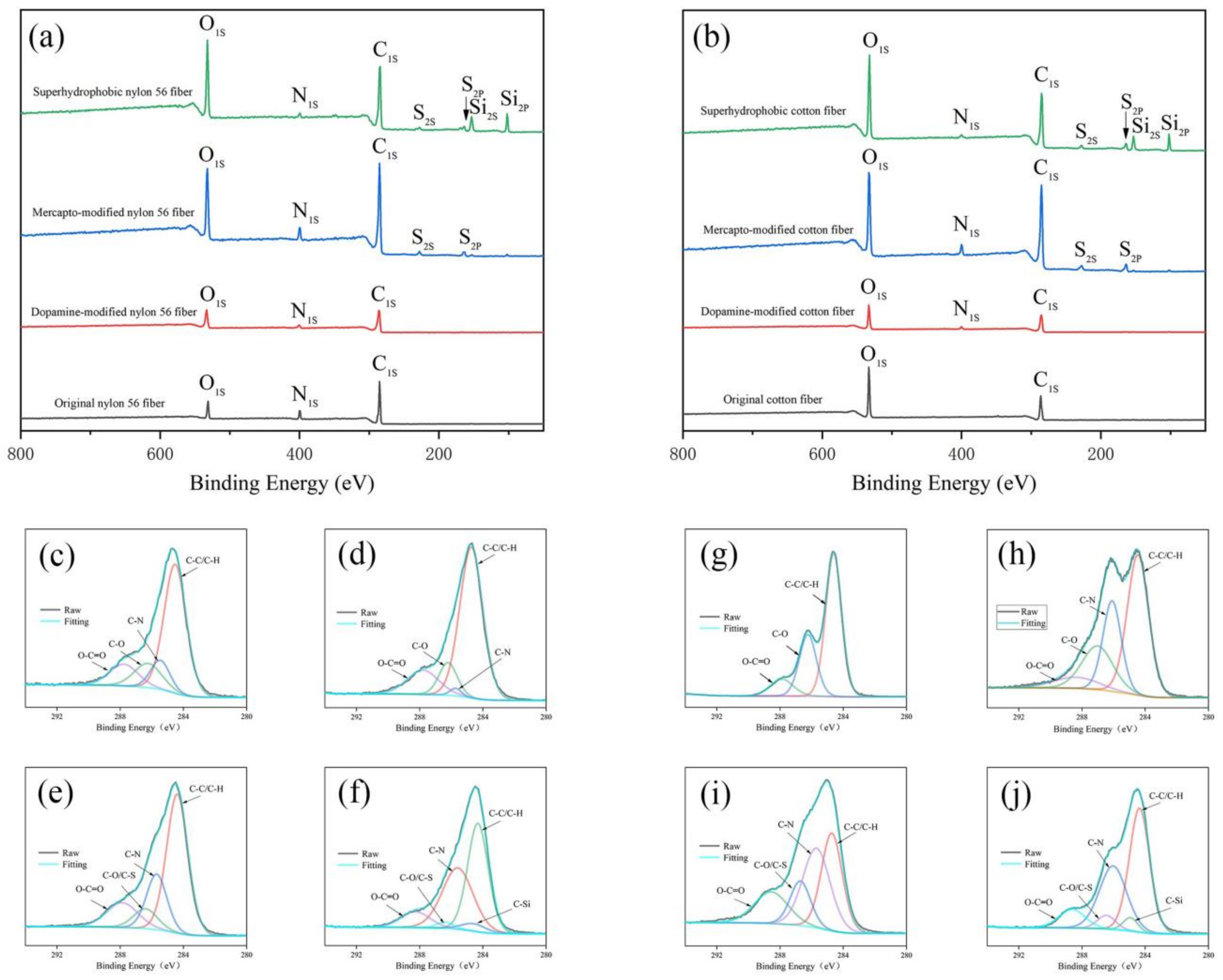 Polymers 14 01426 g004