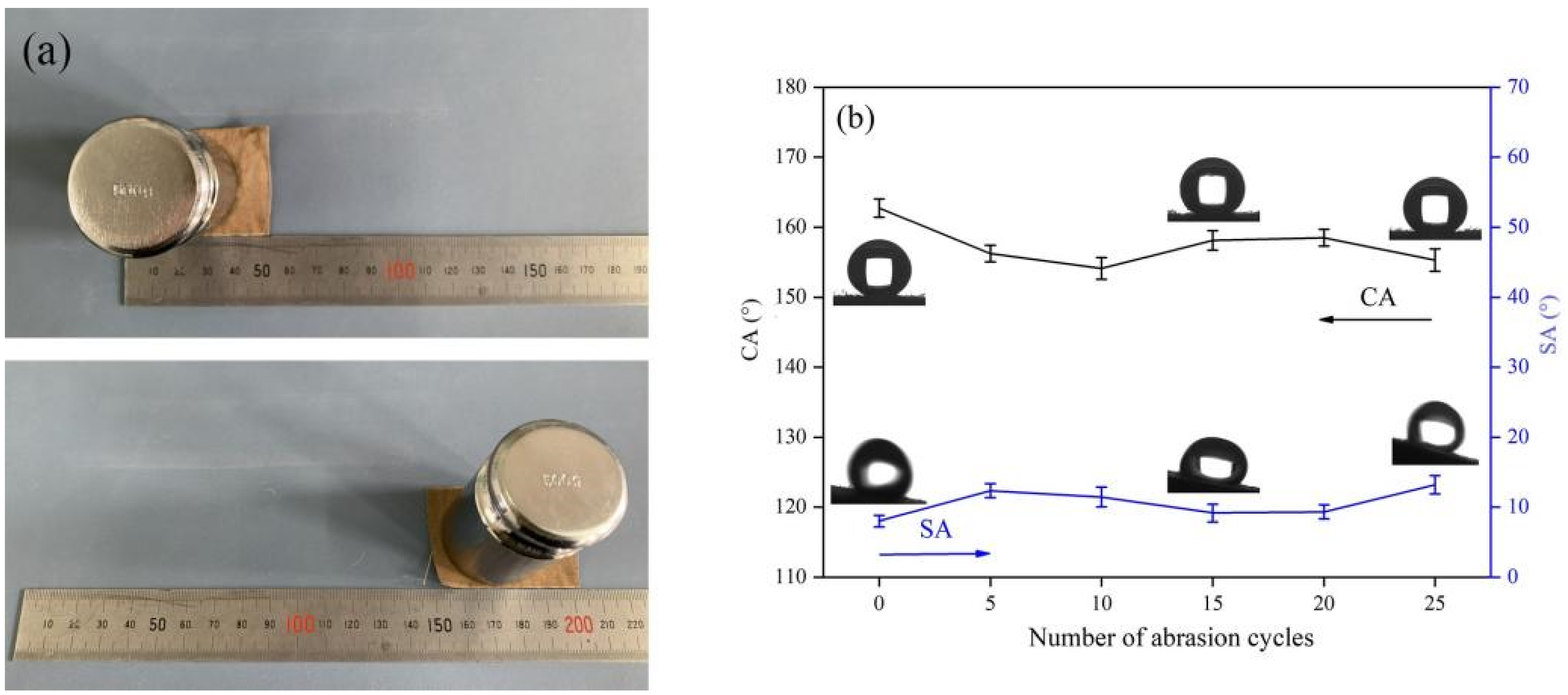 Polymers 14 01426 g006