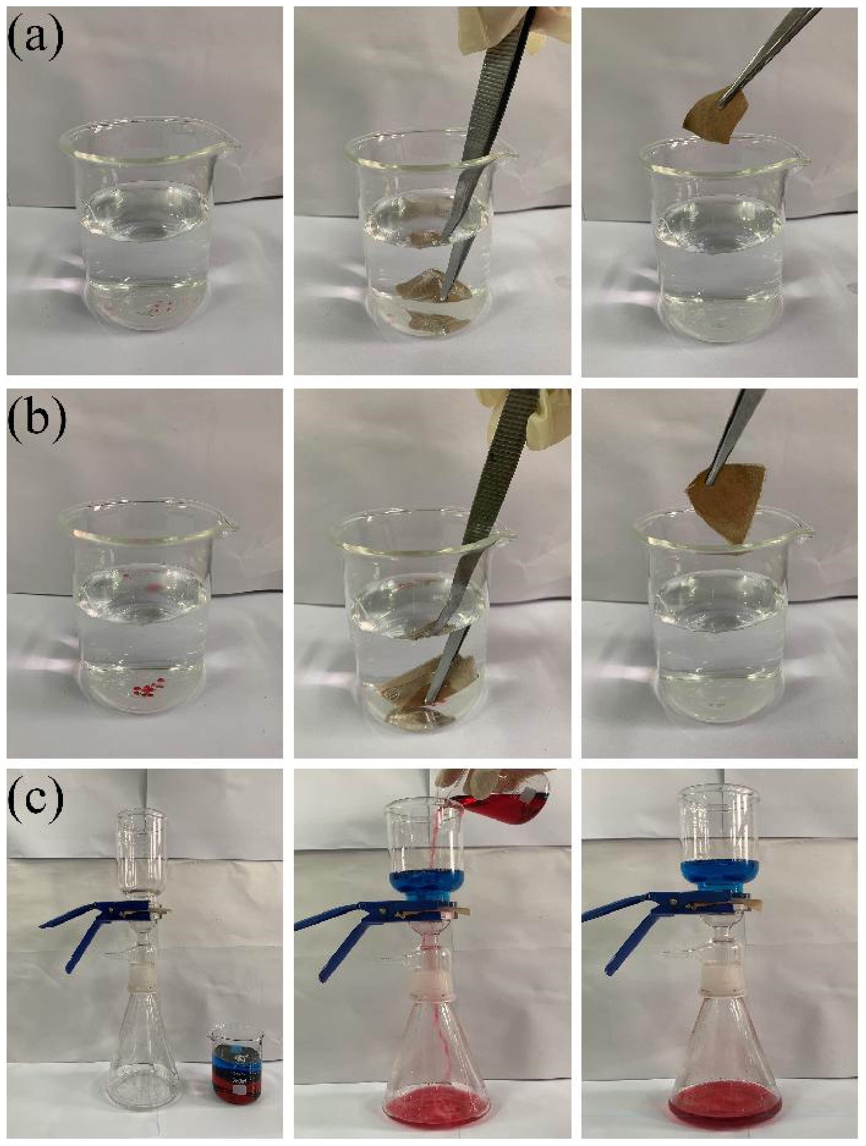 Polymers 14 01426 g010