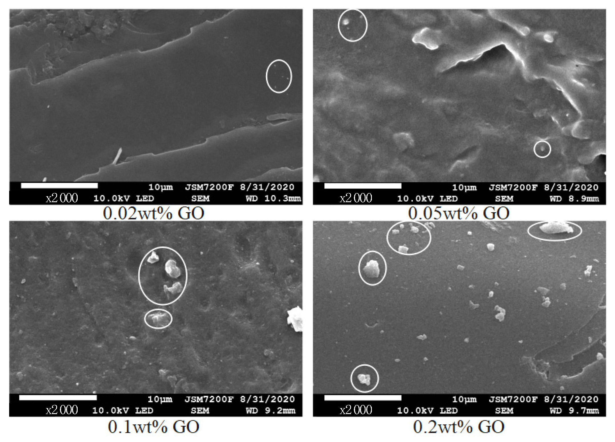 Polymers 14 01432 g012