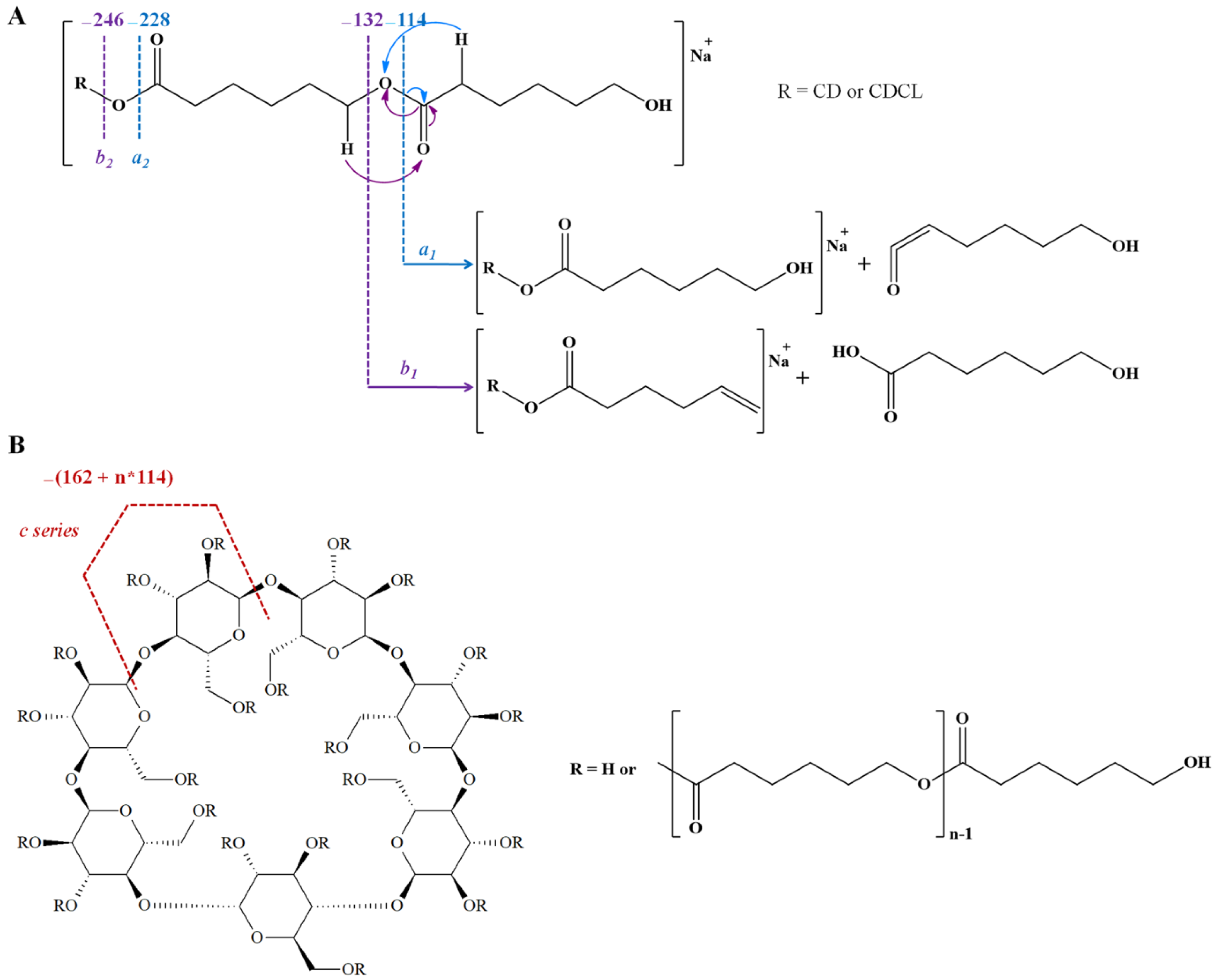 Polymers 14 01436 sch002