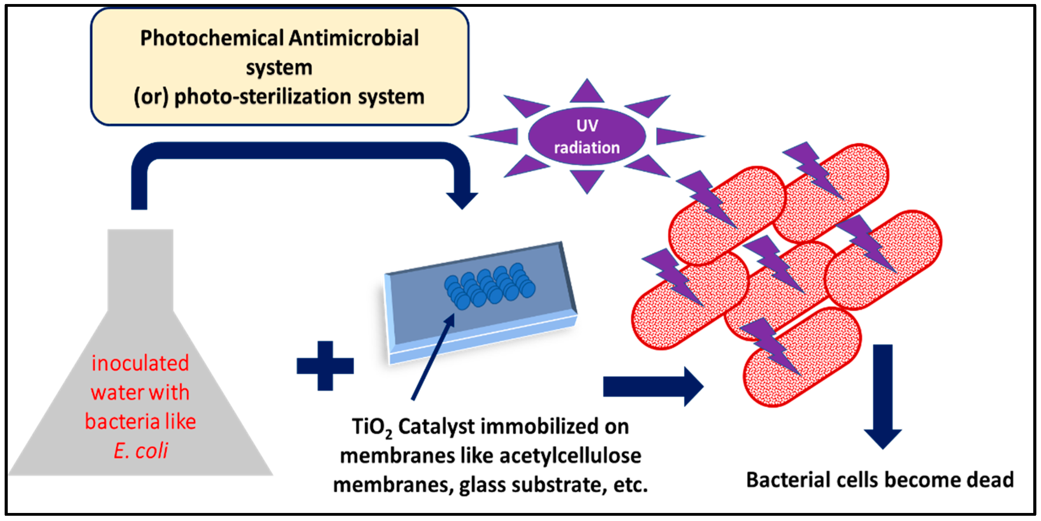 Polymers 14 01444 g007