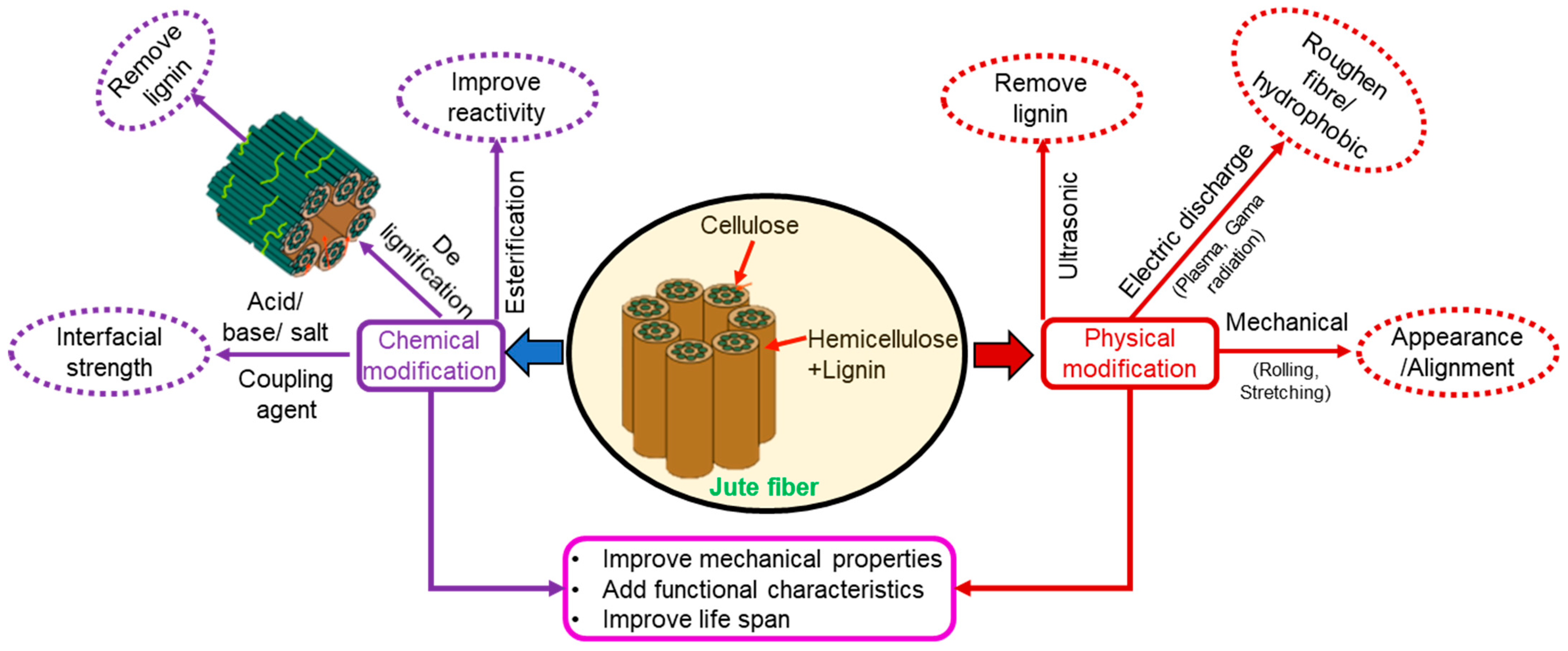 Polymers 14 01445 g008