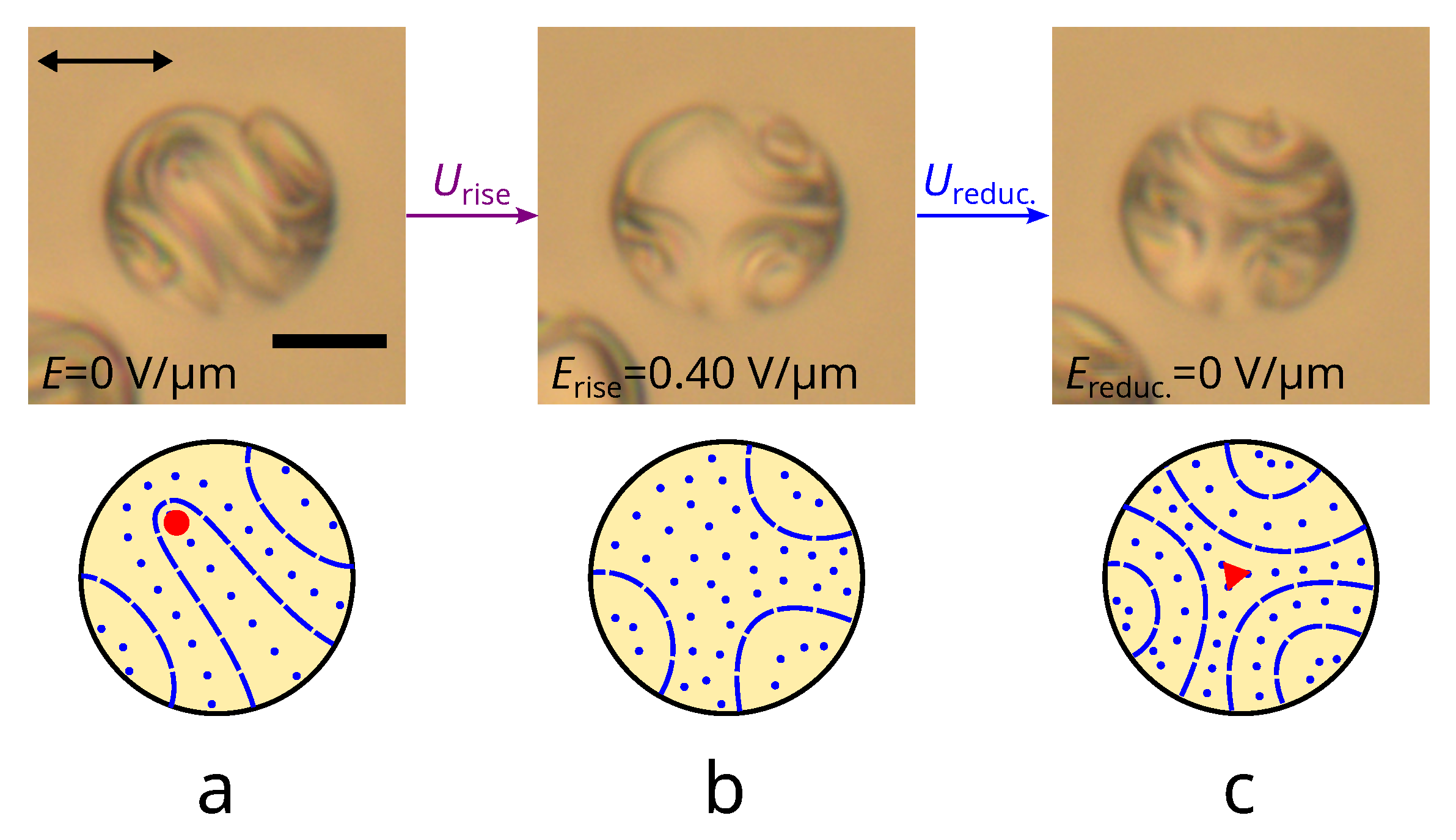Polymers 14 01454 g007